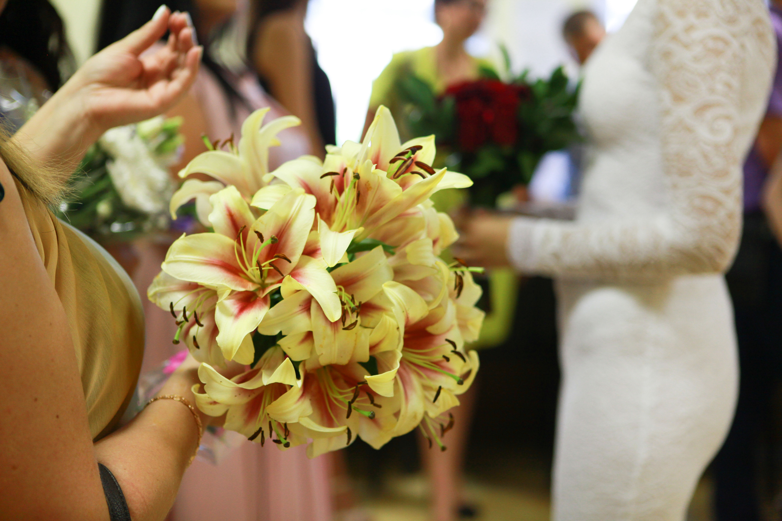 загс церемония бракосочетания  цвет