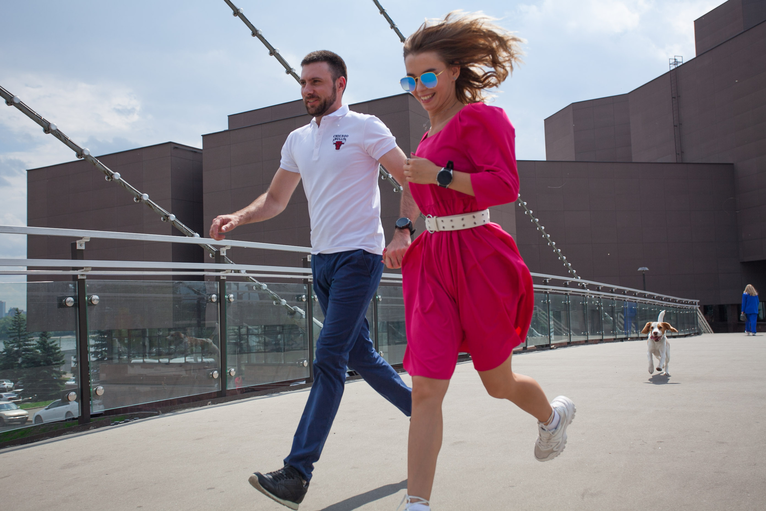 бигль красивая пара фотосессия мост бегут лето