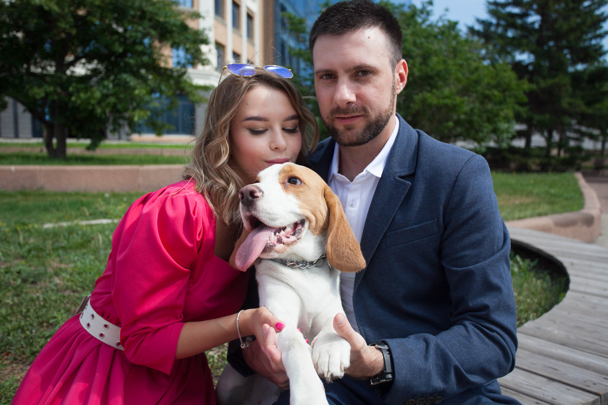 бигль красивая пара фотосессия