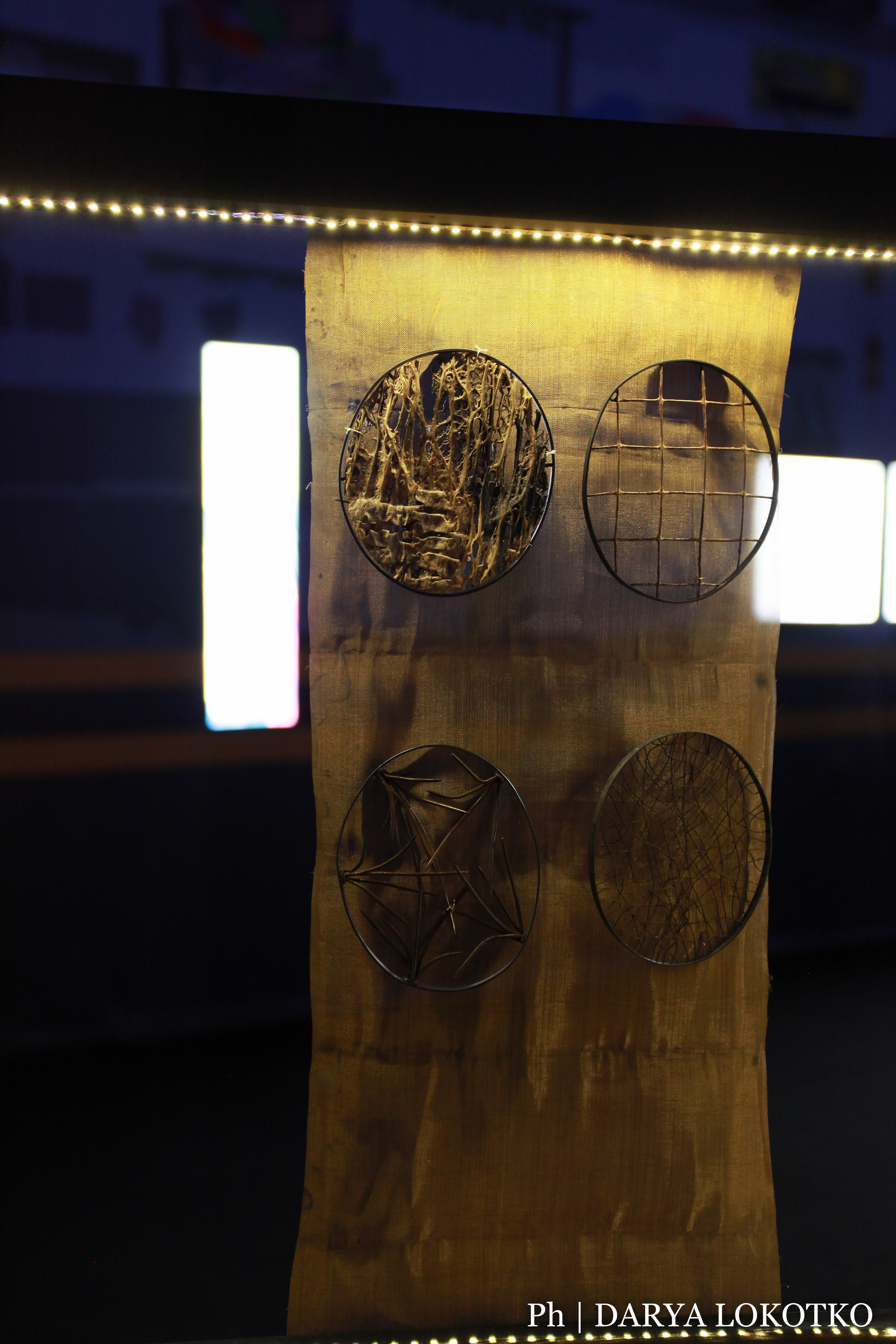 Красноярска ярмарка книжной культуры. Фотограф Дарья Локотко в Красноярске