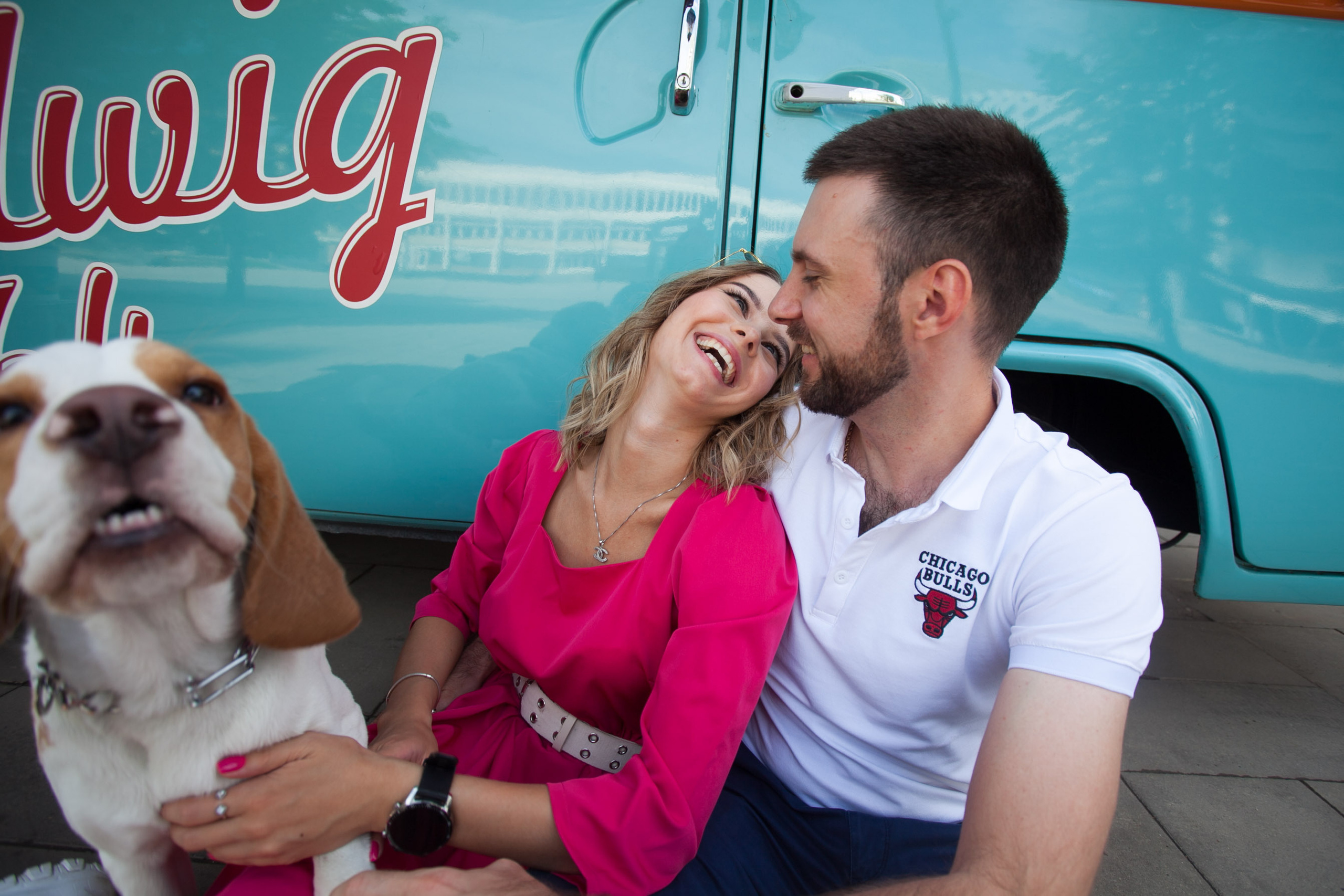 бигль красивая пара фотосессия лето