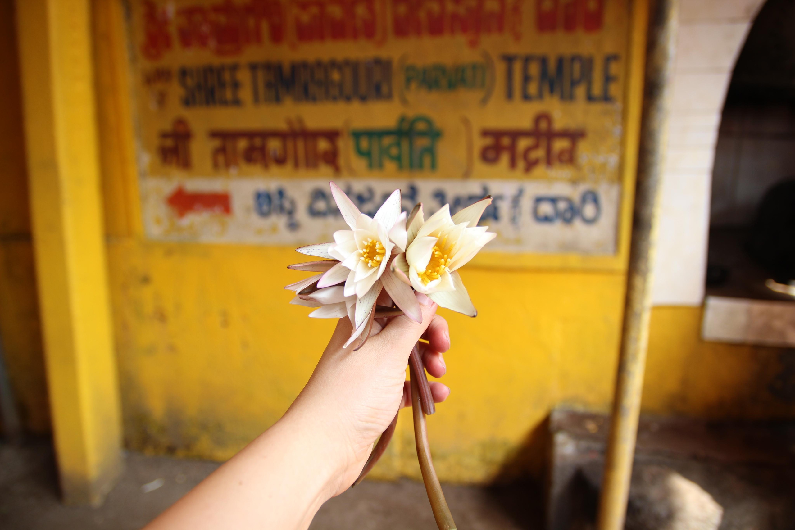 Индия. Фотограф Дарья Локотко в Красноярске