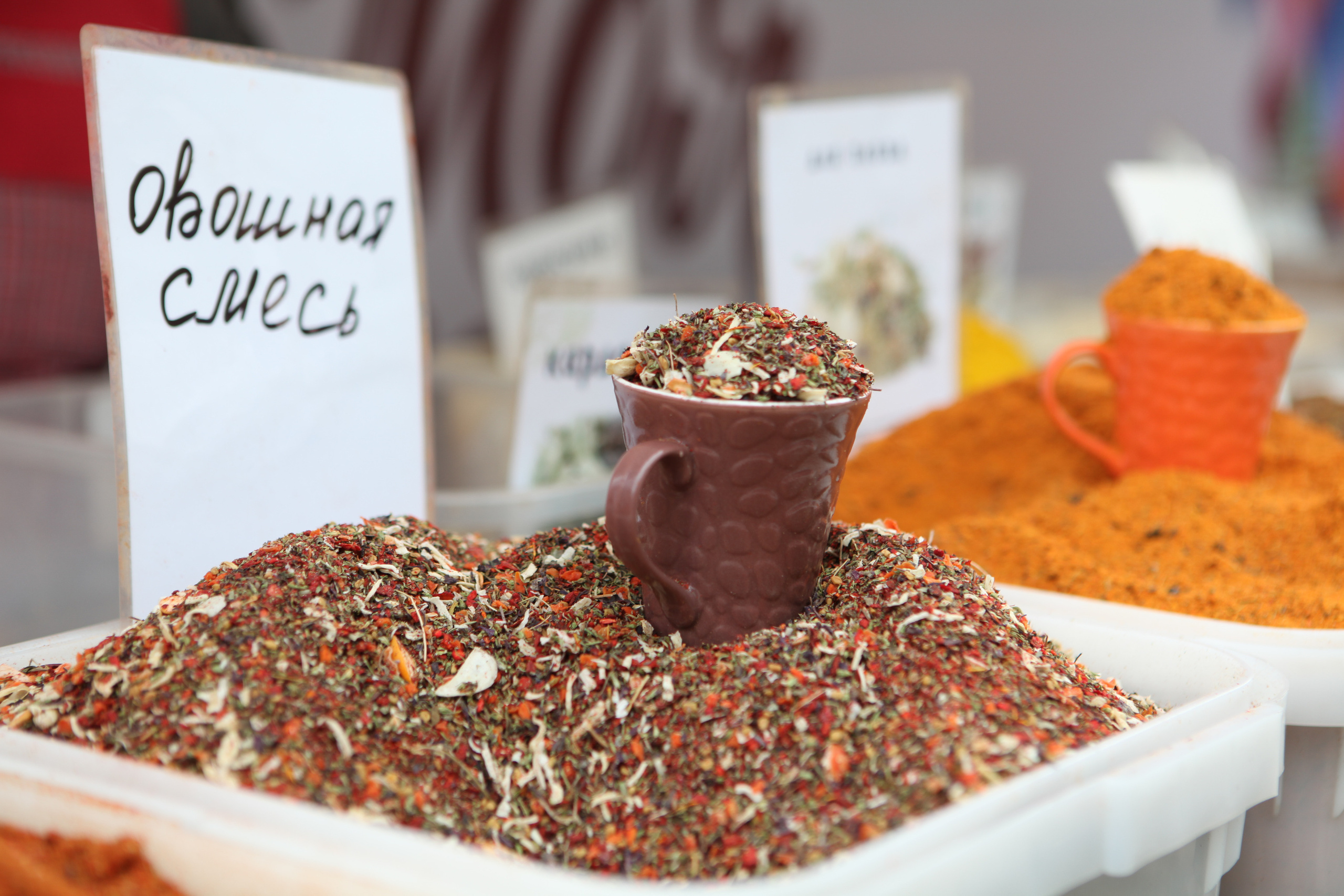 День народного единства. Фотограф Дарья Локотко в Красноярске