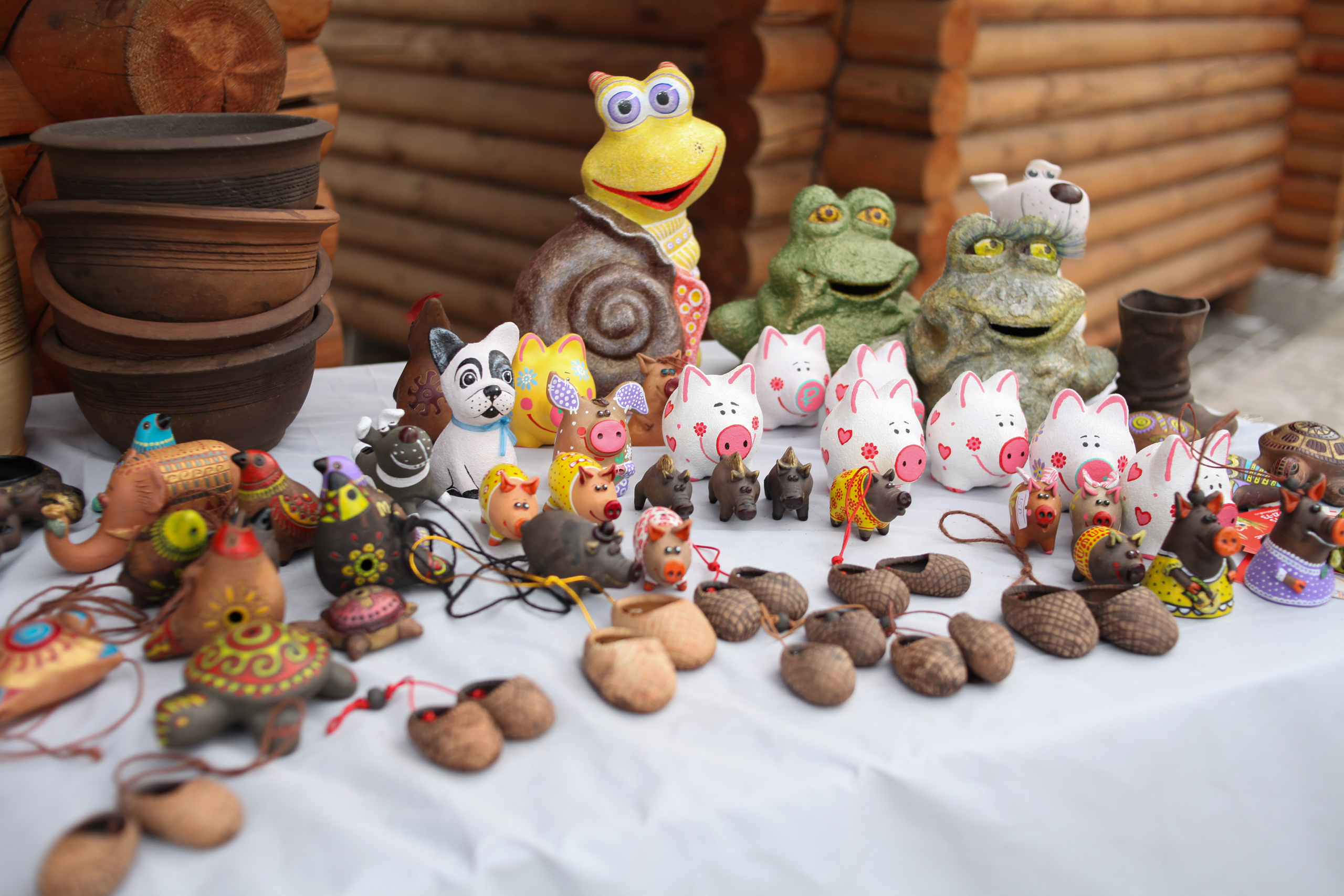 День народного единства. Фотограф Дарья Локотко в Красноярске