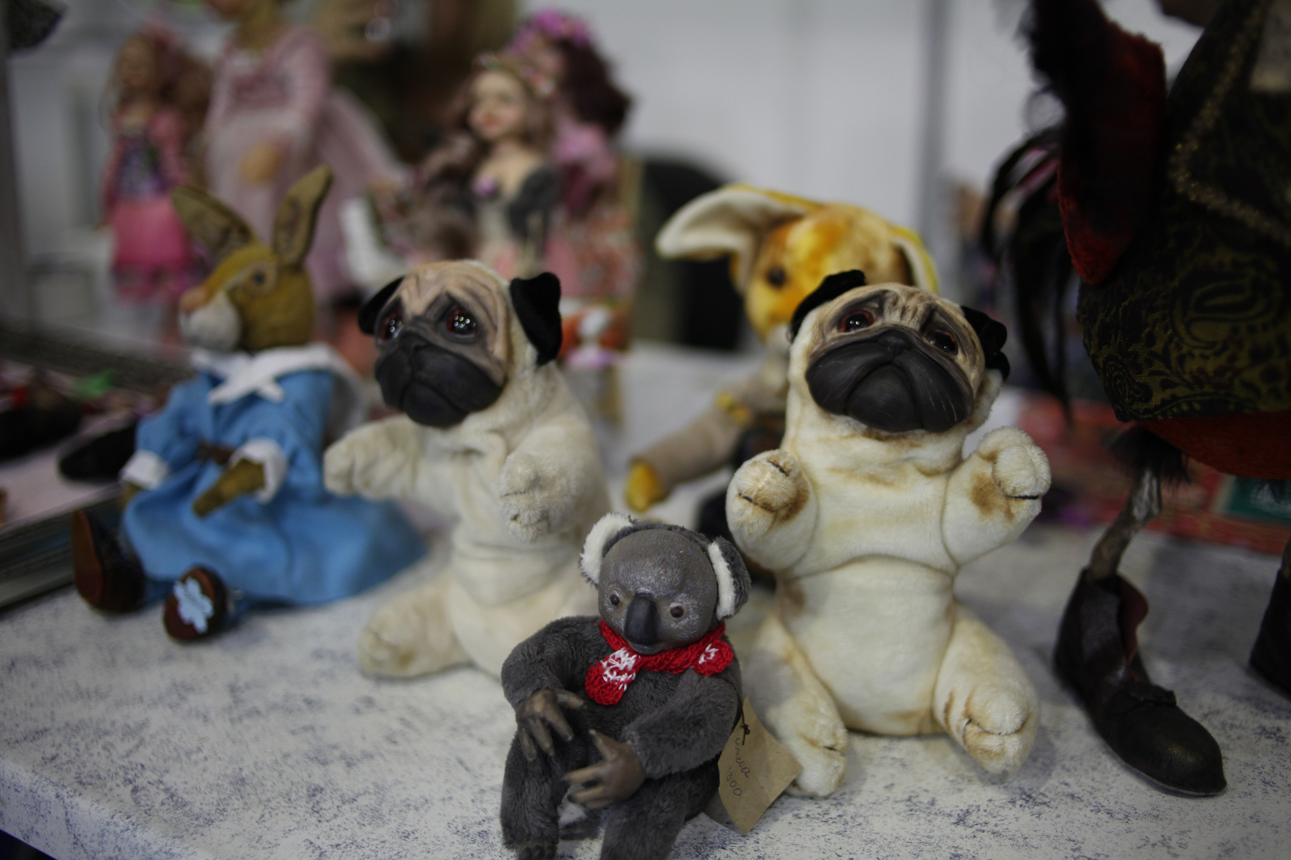 КРЯКК 2018. Фотограф Дарья Локотко в Красноярске