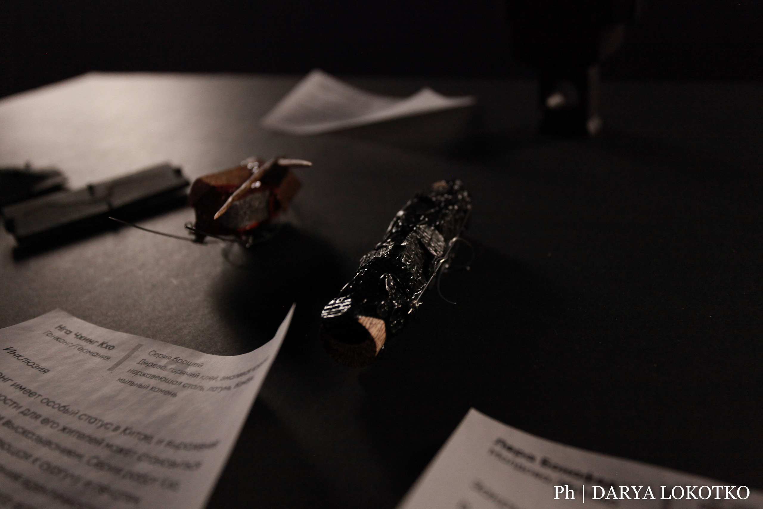 Красноярска ярмарка книжной культуры. Фотограф Дарья Локотко в Красноярске