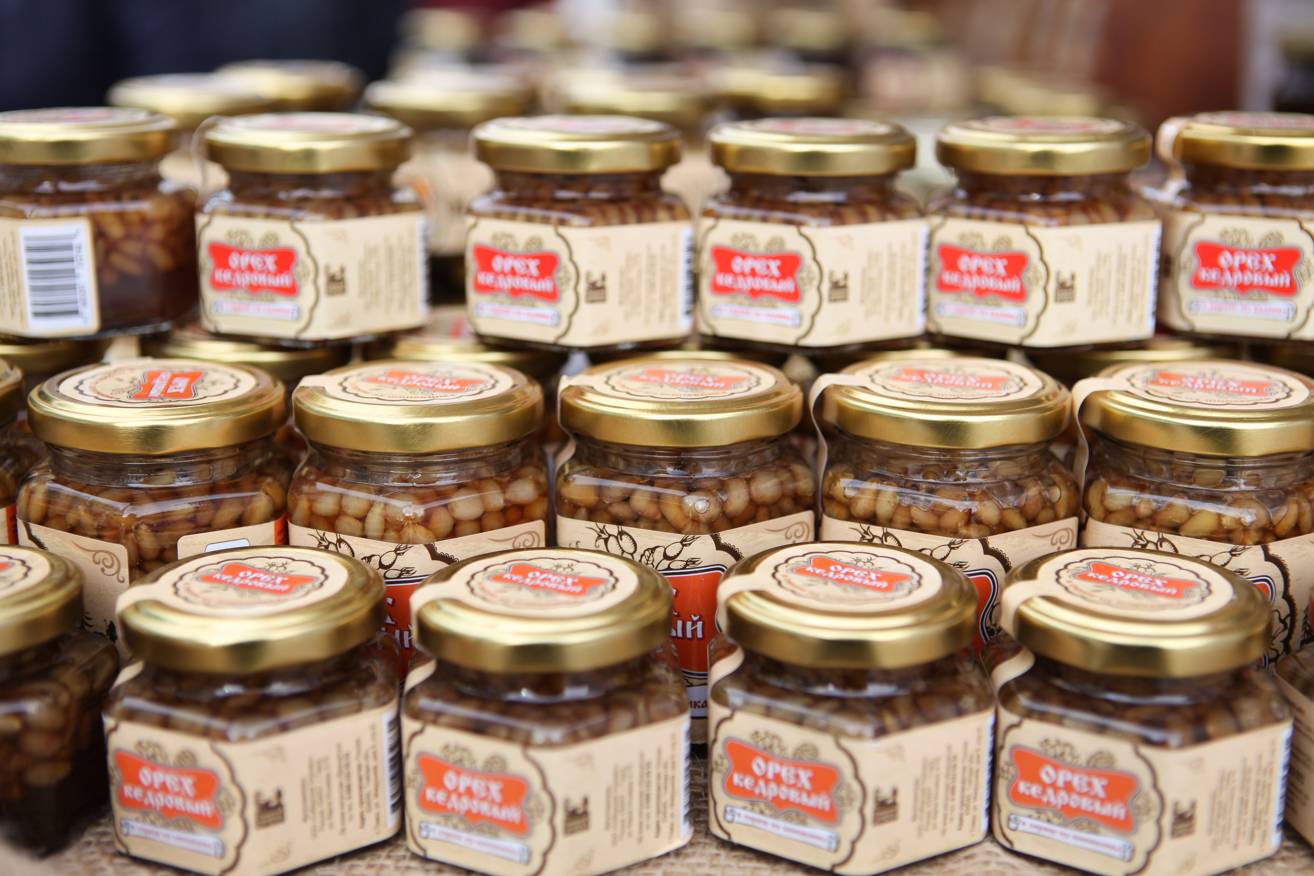 День народного единства. Фотограф Дарья Локотко в Красноярске