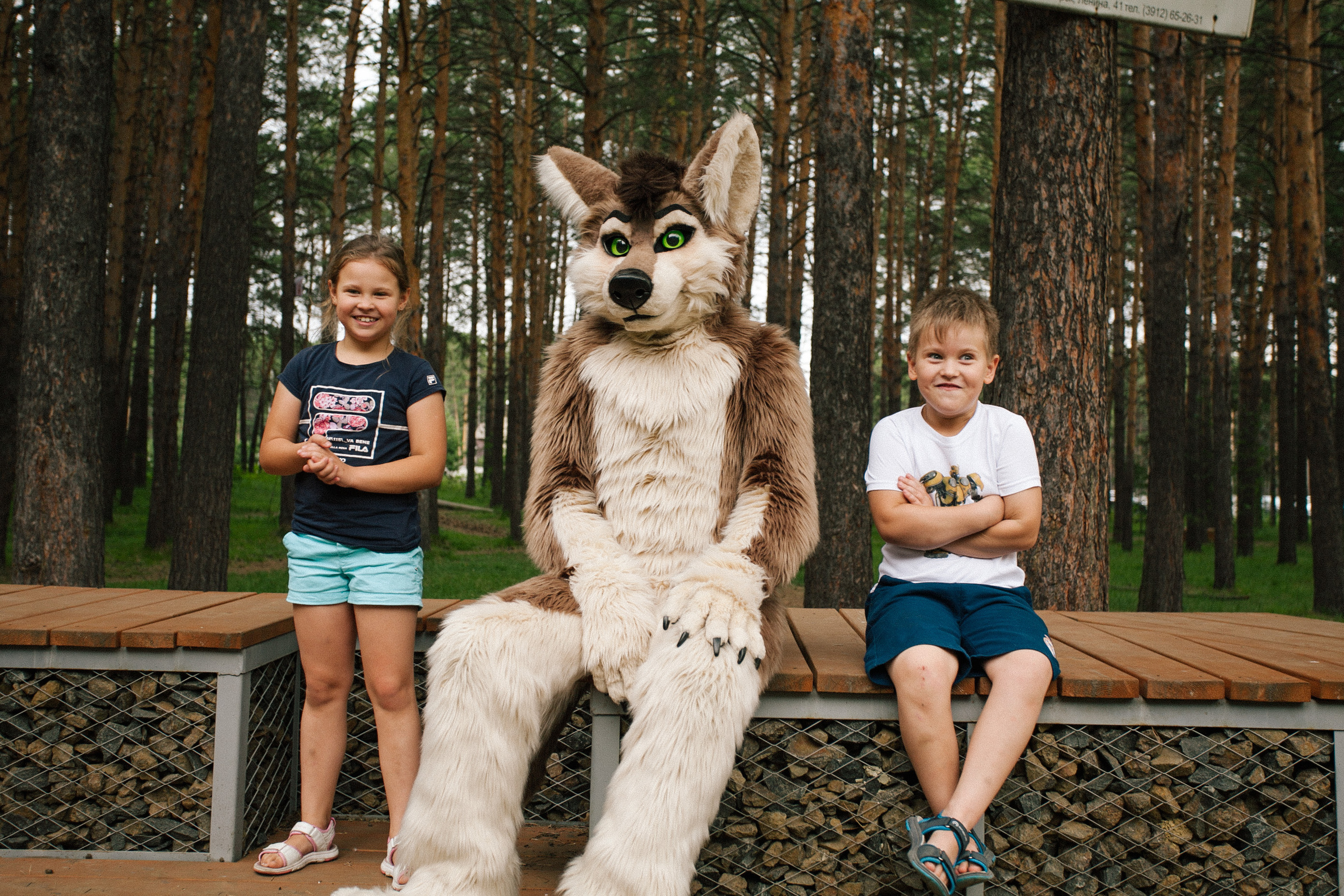 волк, фури, природа, лето, дети