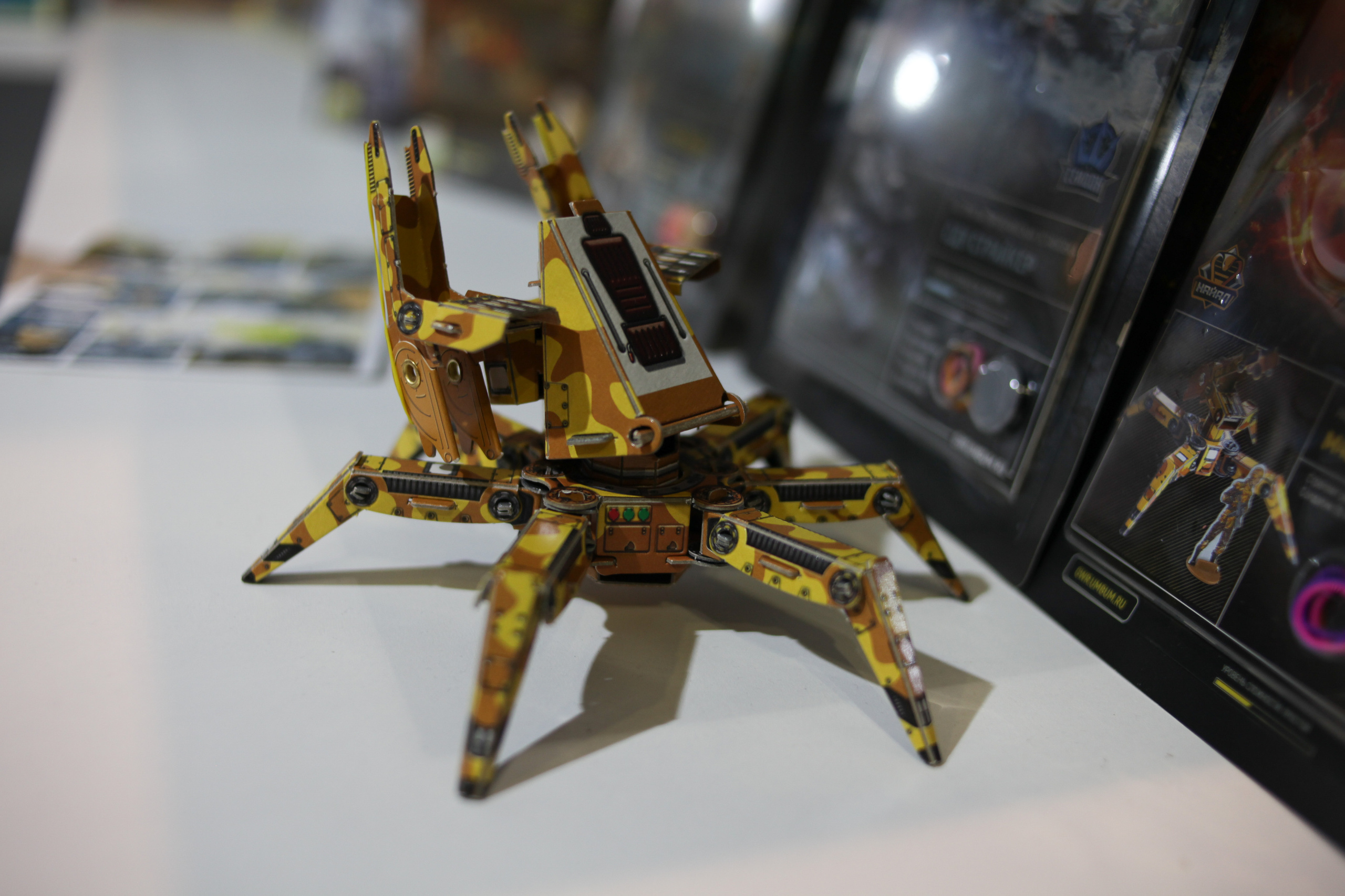 КРЯКК 2018. Фотограф Дарья Локотко в Красноярске