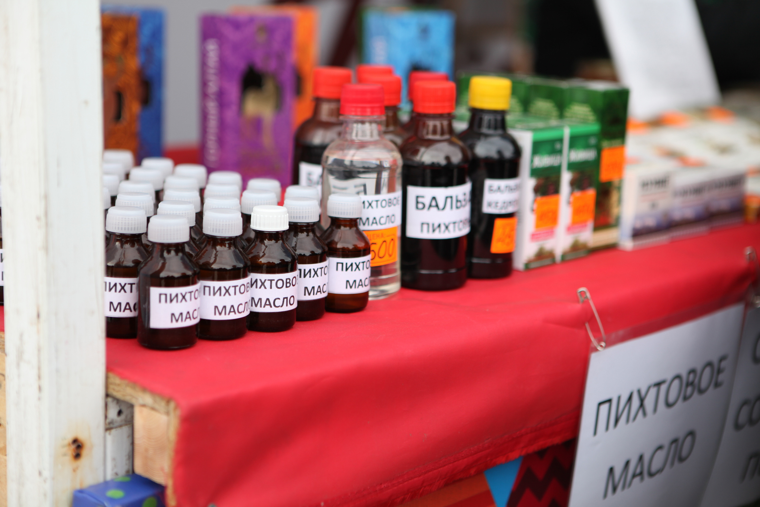 День народного единства. Фотограф Дарья Локотко в Красноярске