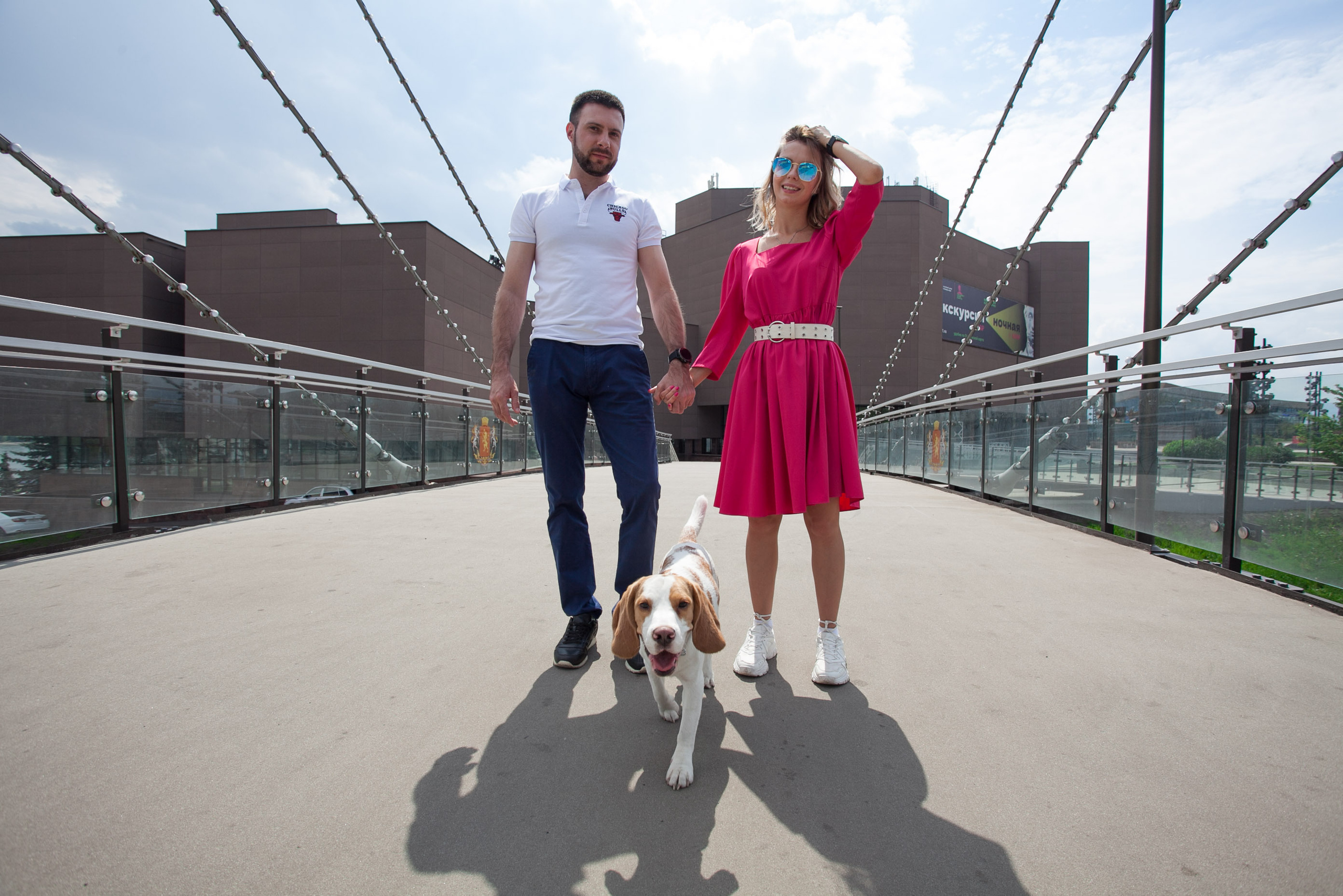 бигль красивая пара фотосессия лето мост