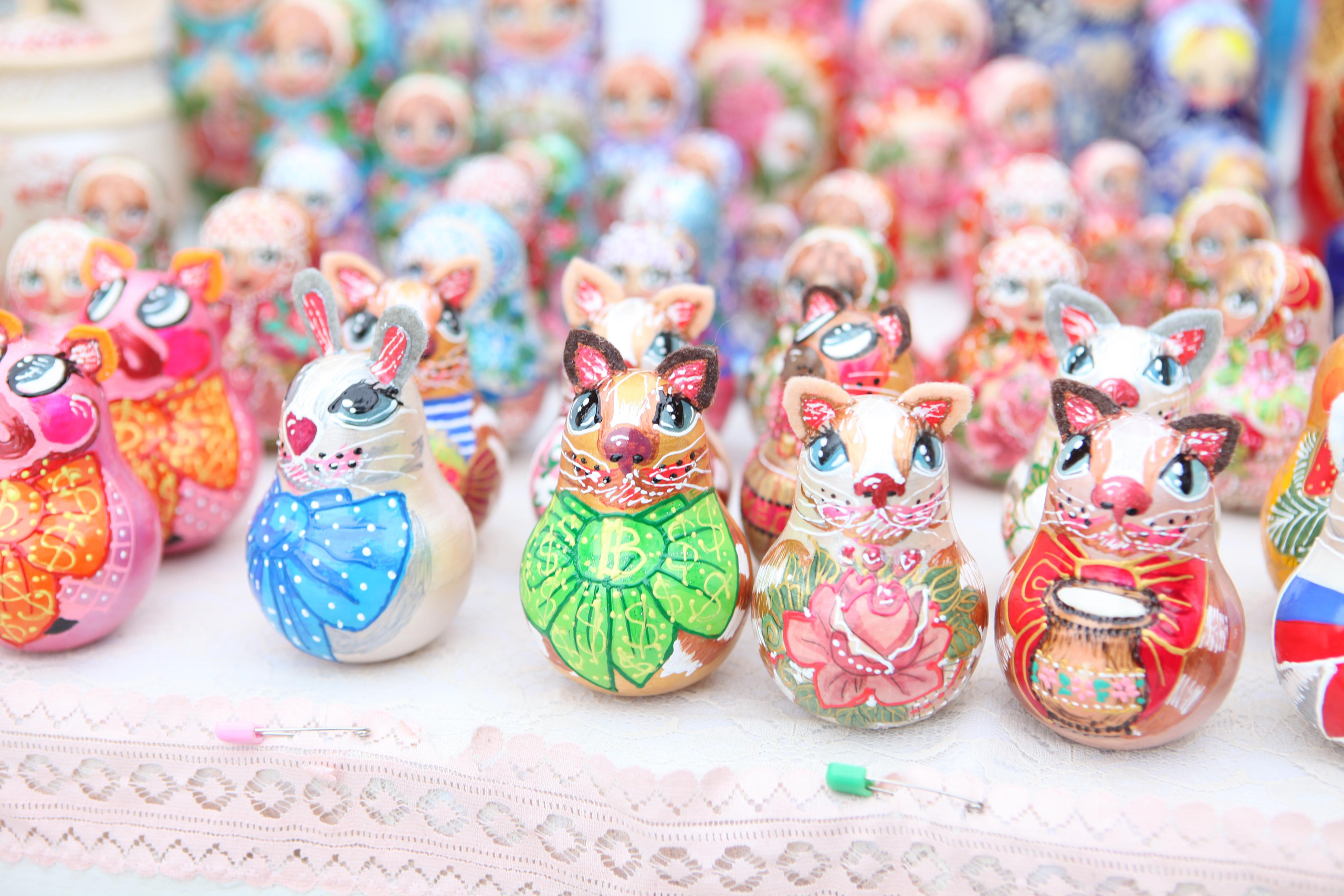 День народного единства. Фотограф Дарья Локотко в Красноярске