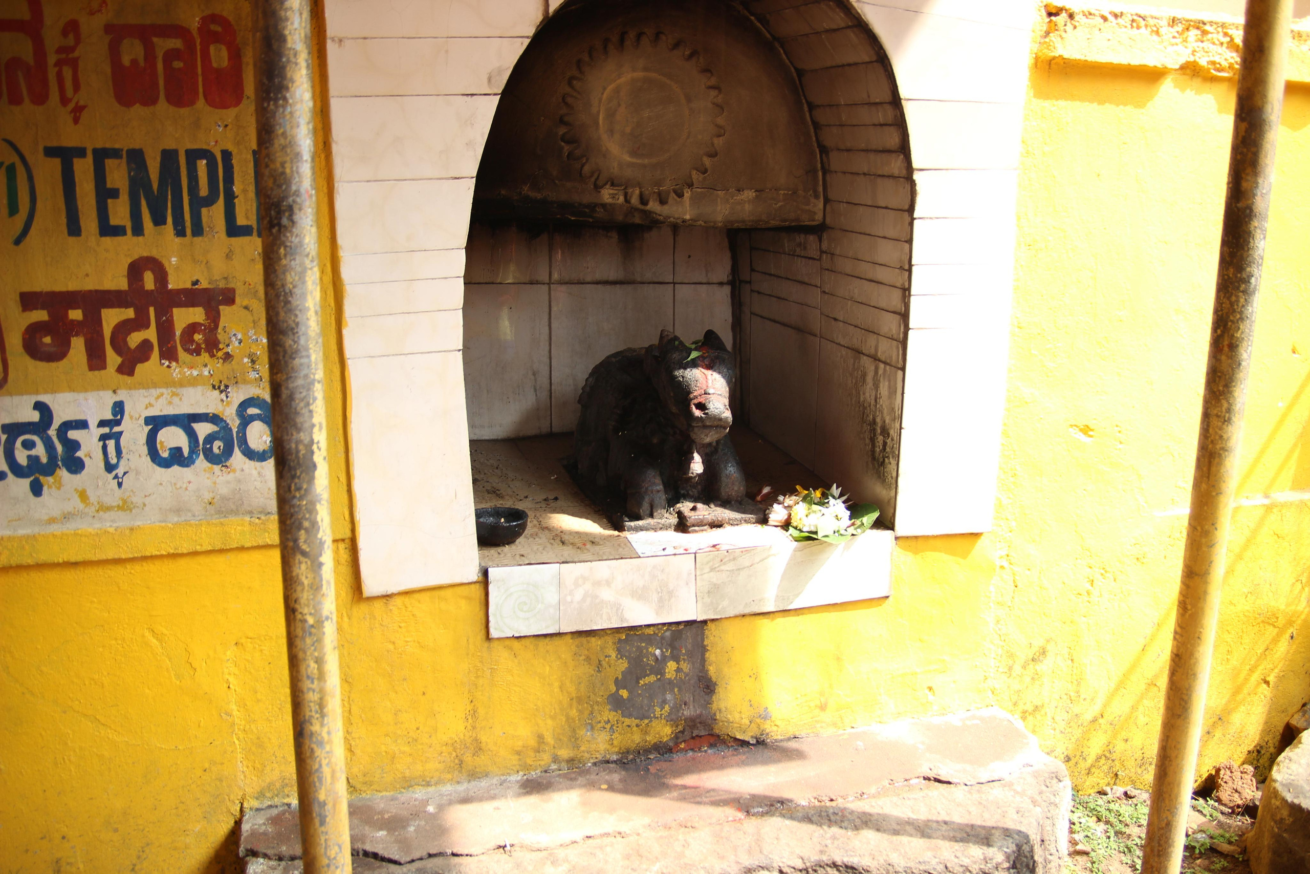 Индия. Фотограф Дарья Локотко в Красноярске