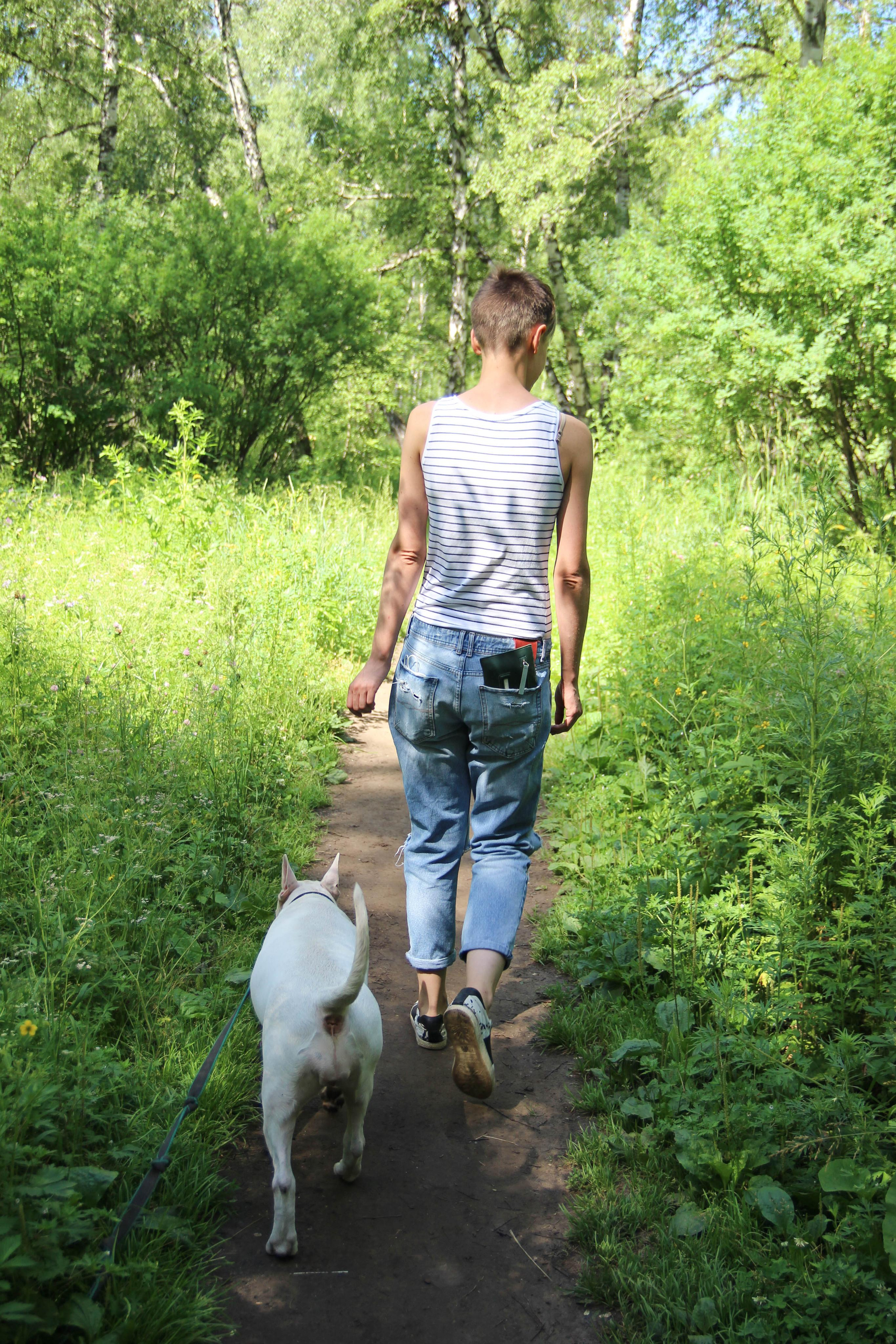 бультерьер собака и девушка на зеленой траве на тропинке