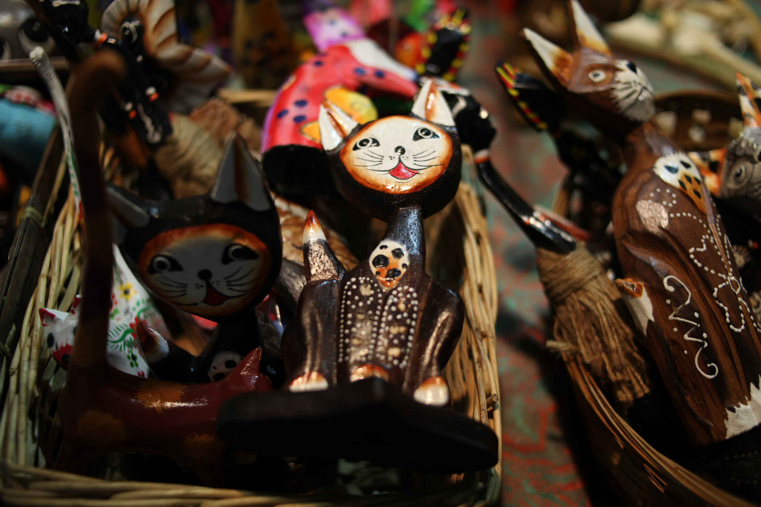 КРЯКК 2018. Фотограф Дарья Локотко в Красноярске