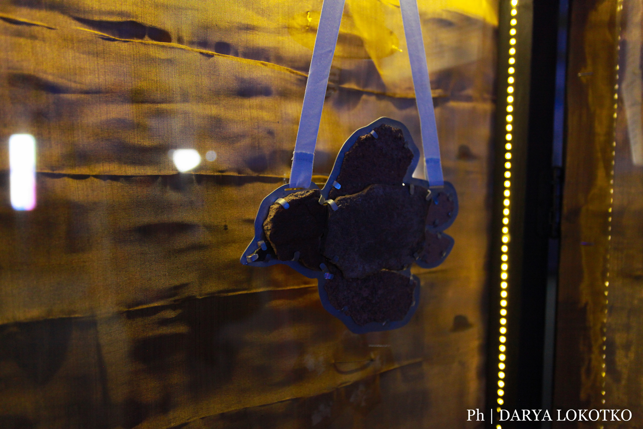 Красноярска ярмарка книжной культуры. Фотограф Дарья Локотко в Красноярске