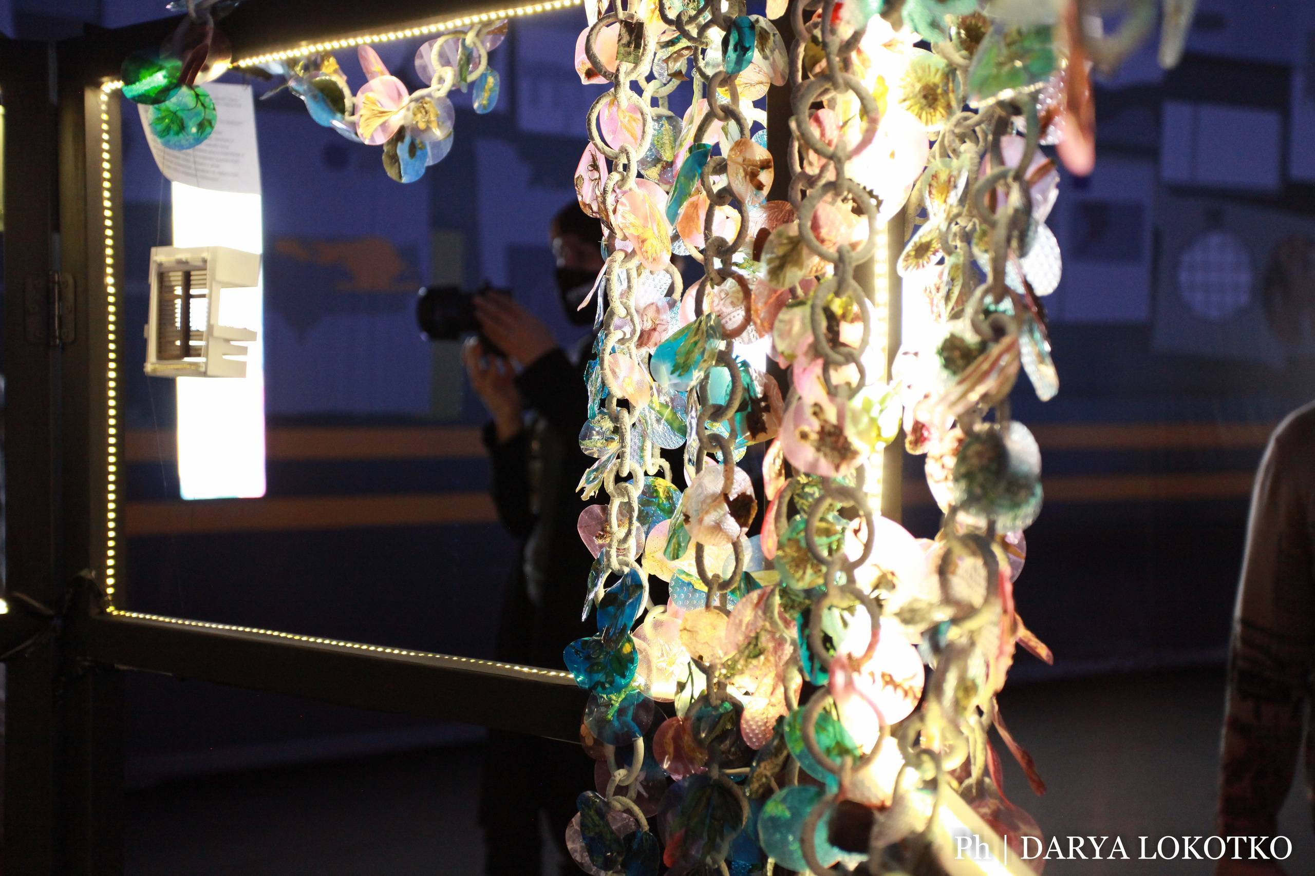 Красноярска ярмарка книжной культуры. Фотограф Дарья Локотко в Красноярске