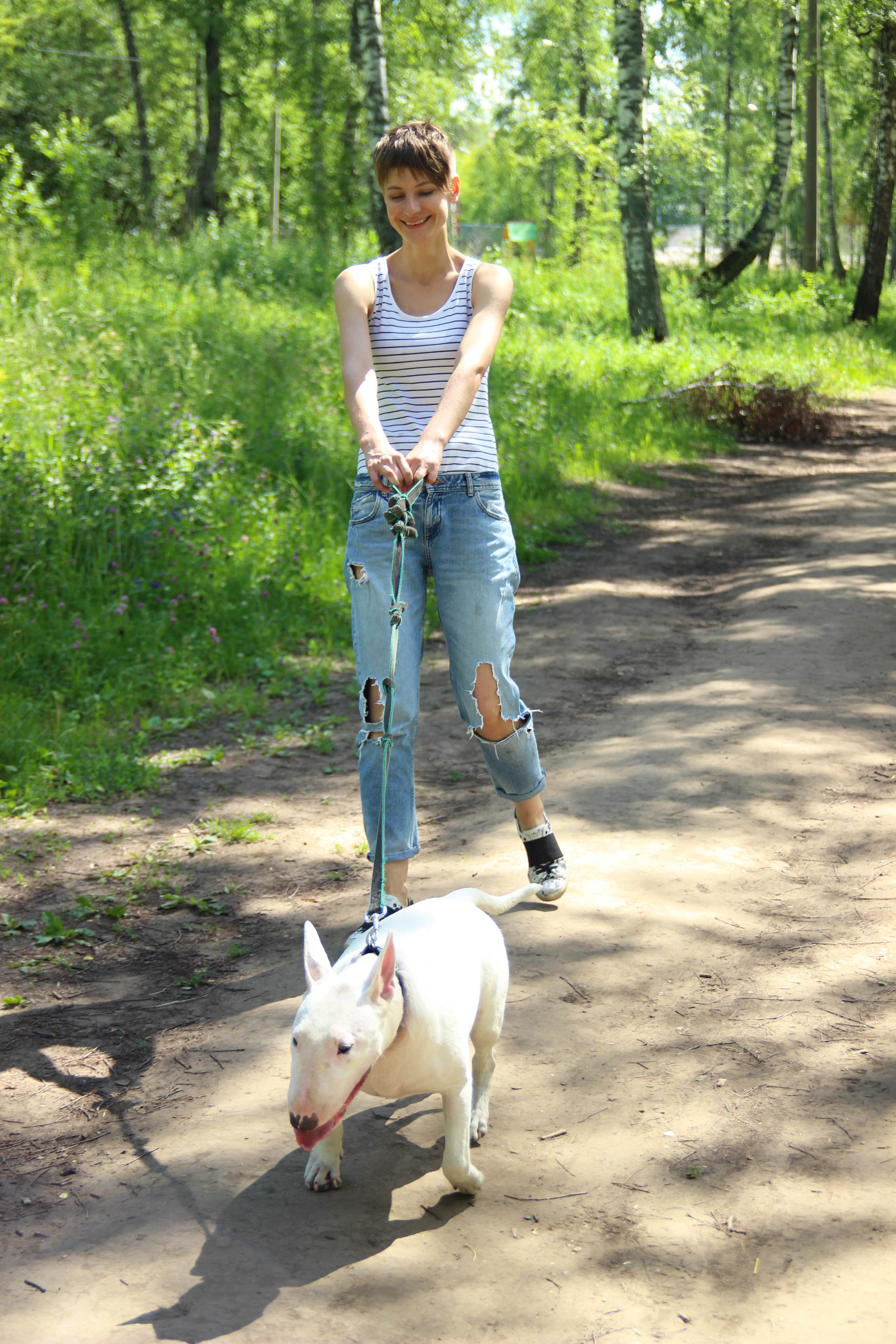 бультерьер собака и девушка на зеленой траве