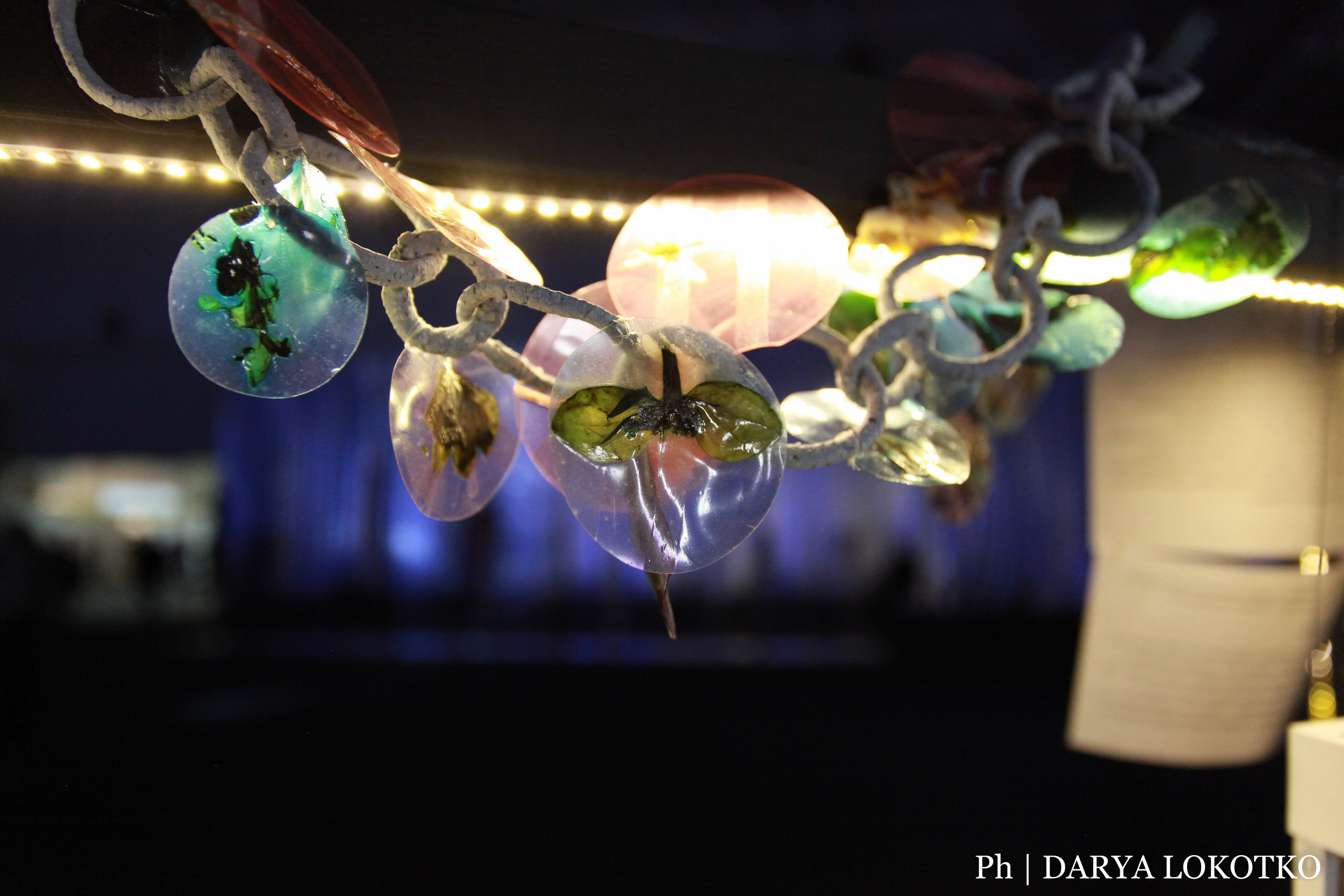 Красноярска ярмарка книжной культуры. Фотограф Дарья Локотко в Красноярске