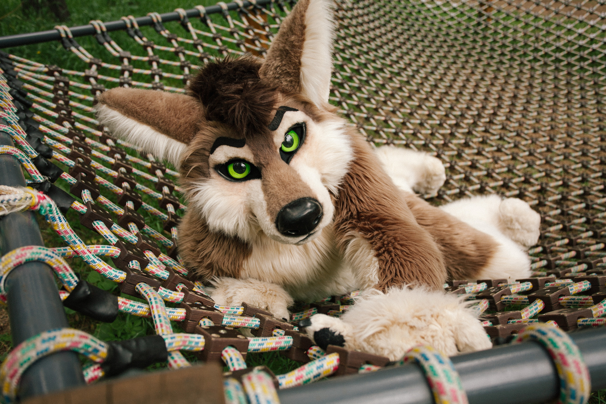 волк, фури, природа, лето,  зеленая трава