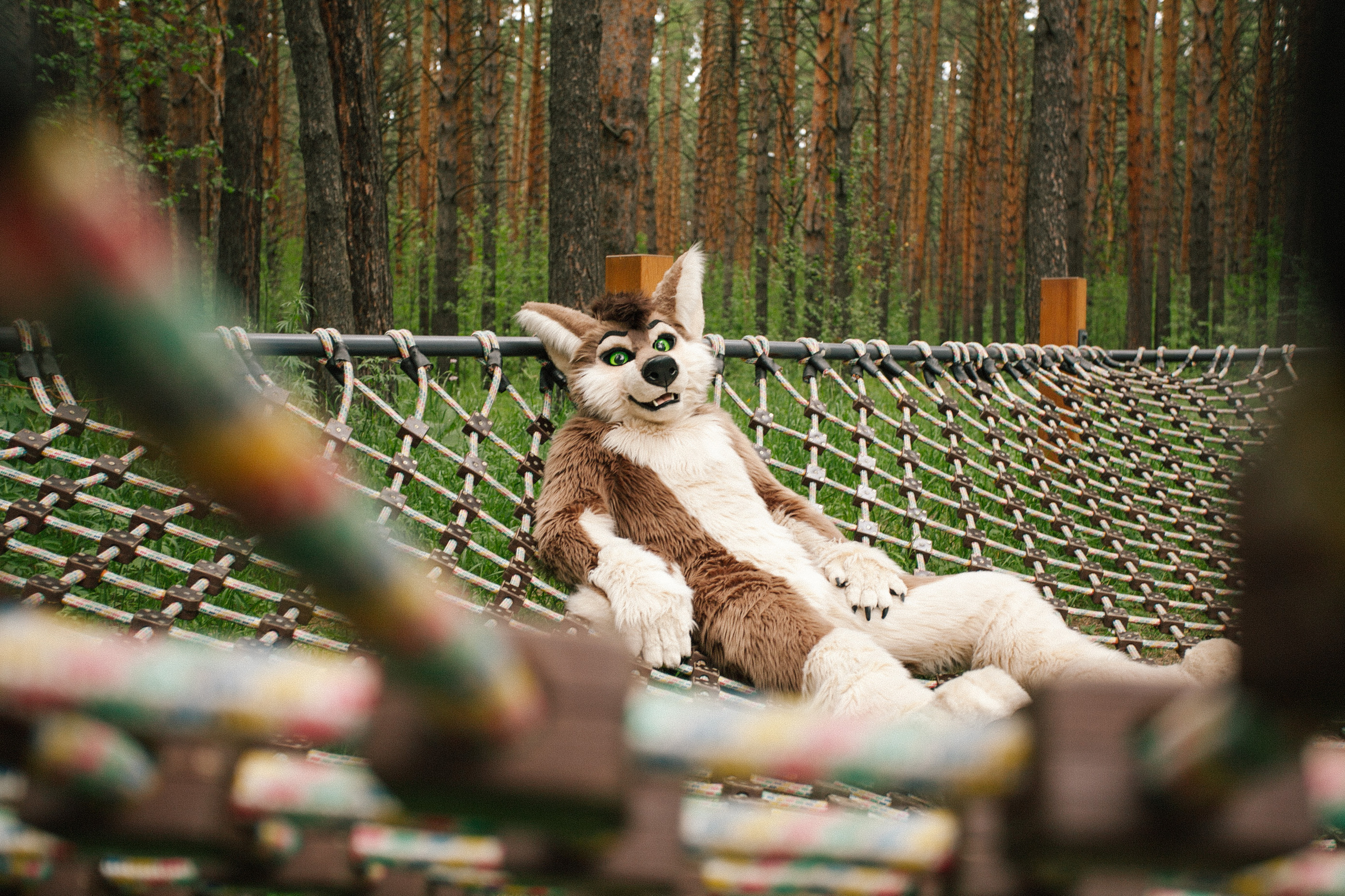 волк, фури, природа, лето,  зеленая трава