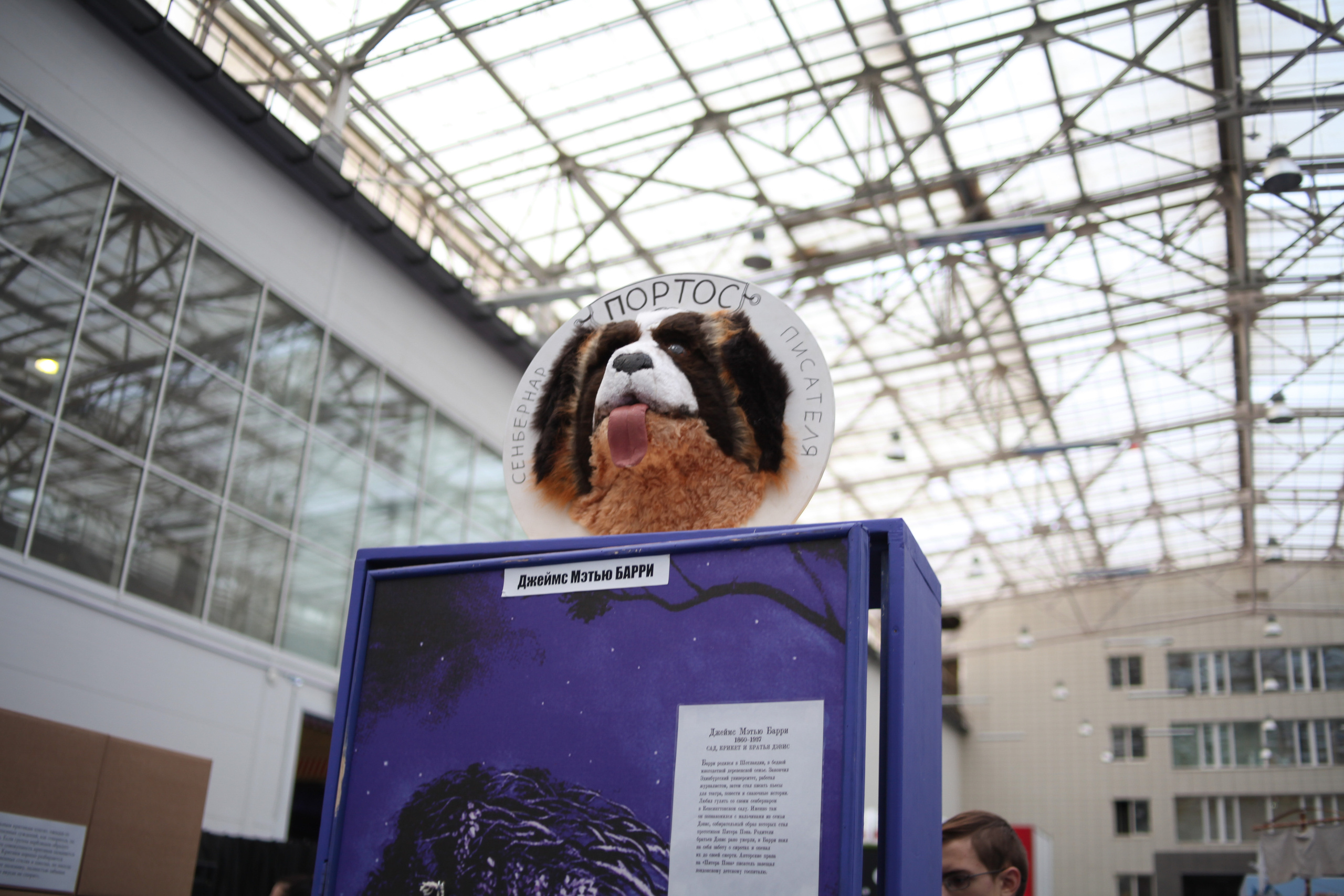 КРЯКК 2018. Фотограф Дарья Локотко в Красноярске