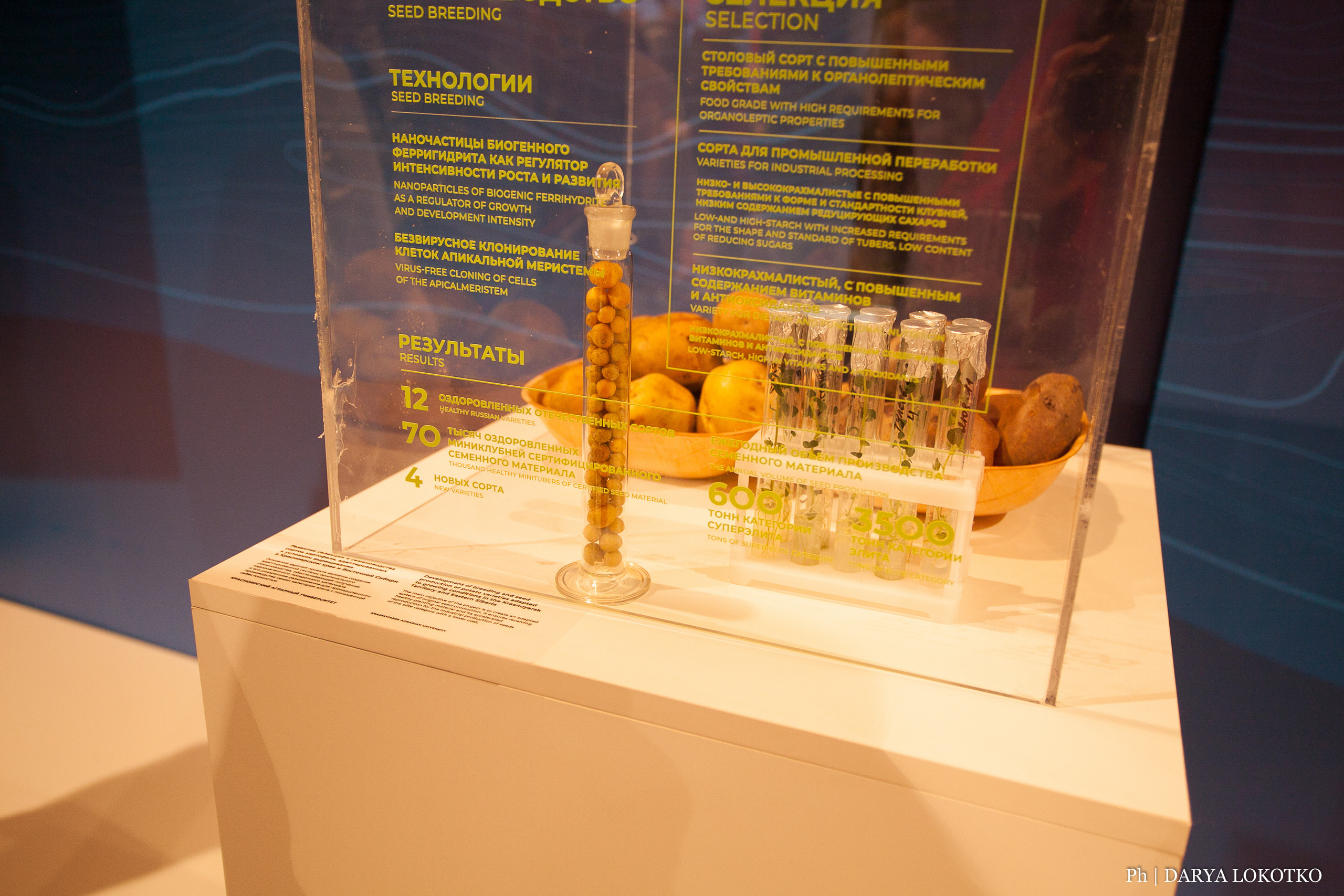 Мир Сибири в Красноярске. Фотограф Дарья Локотко в Красноярске