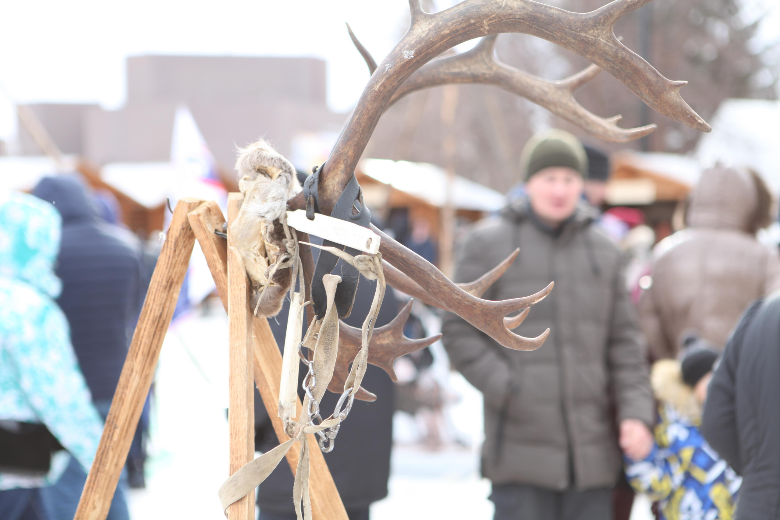 День народного единства. Фотограф Дарья Локотко в Красноярске