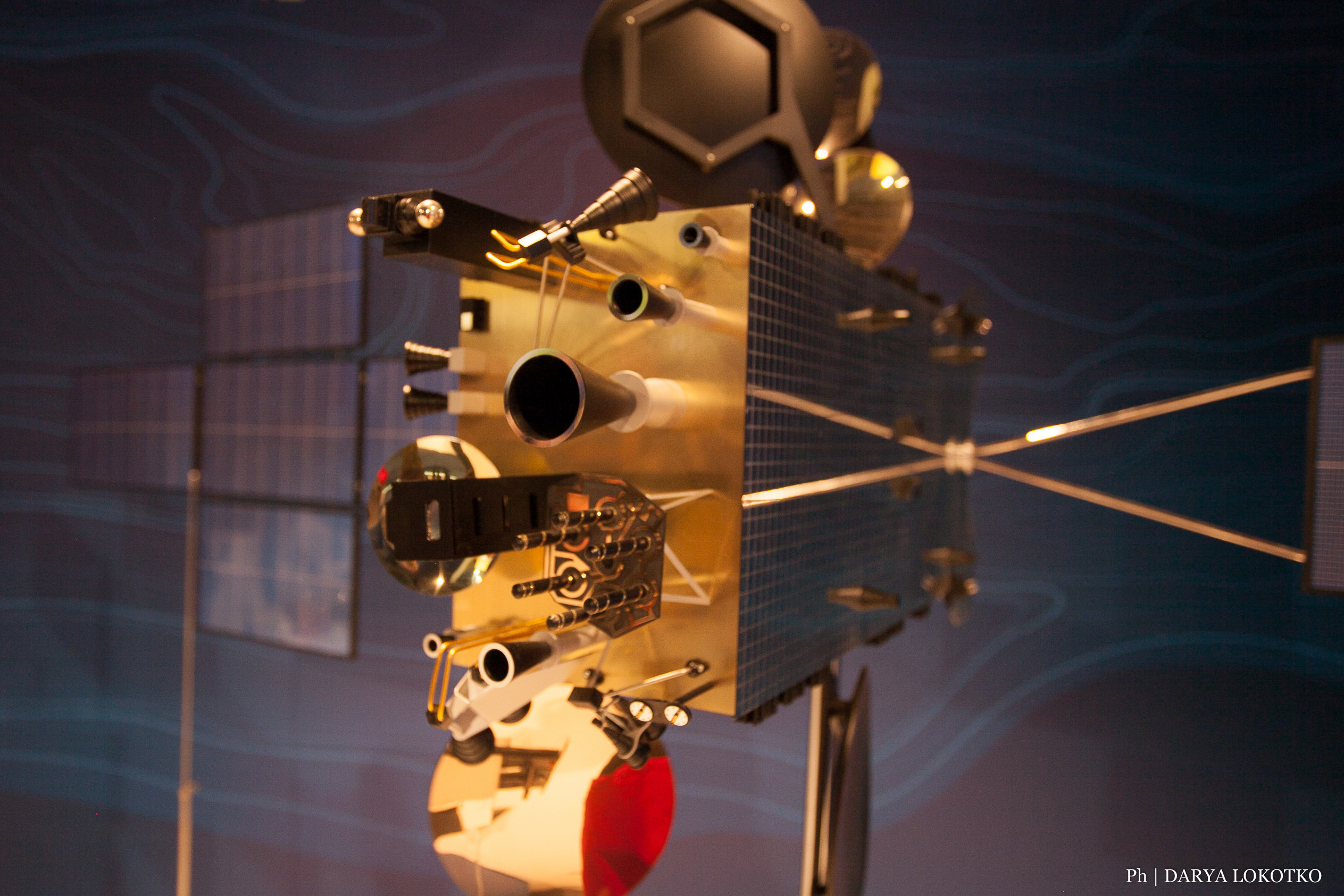 Мир Сибири в Красноярске. Фотограф Дарья Локотко в Красноярске