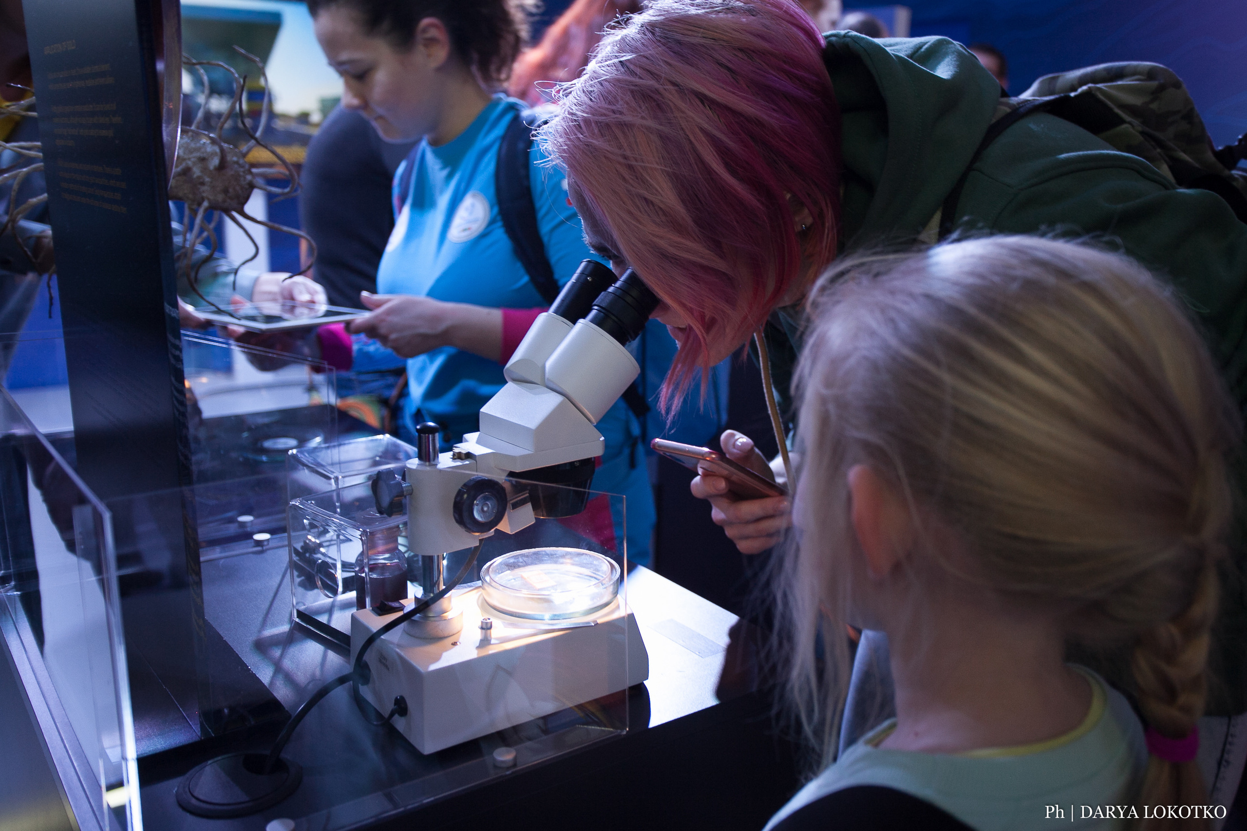 Мир Сибири в Красноярске. Фотограф Дарья Локотко в Красноярске