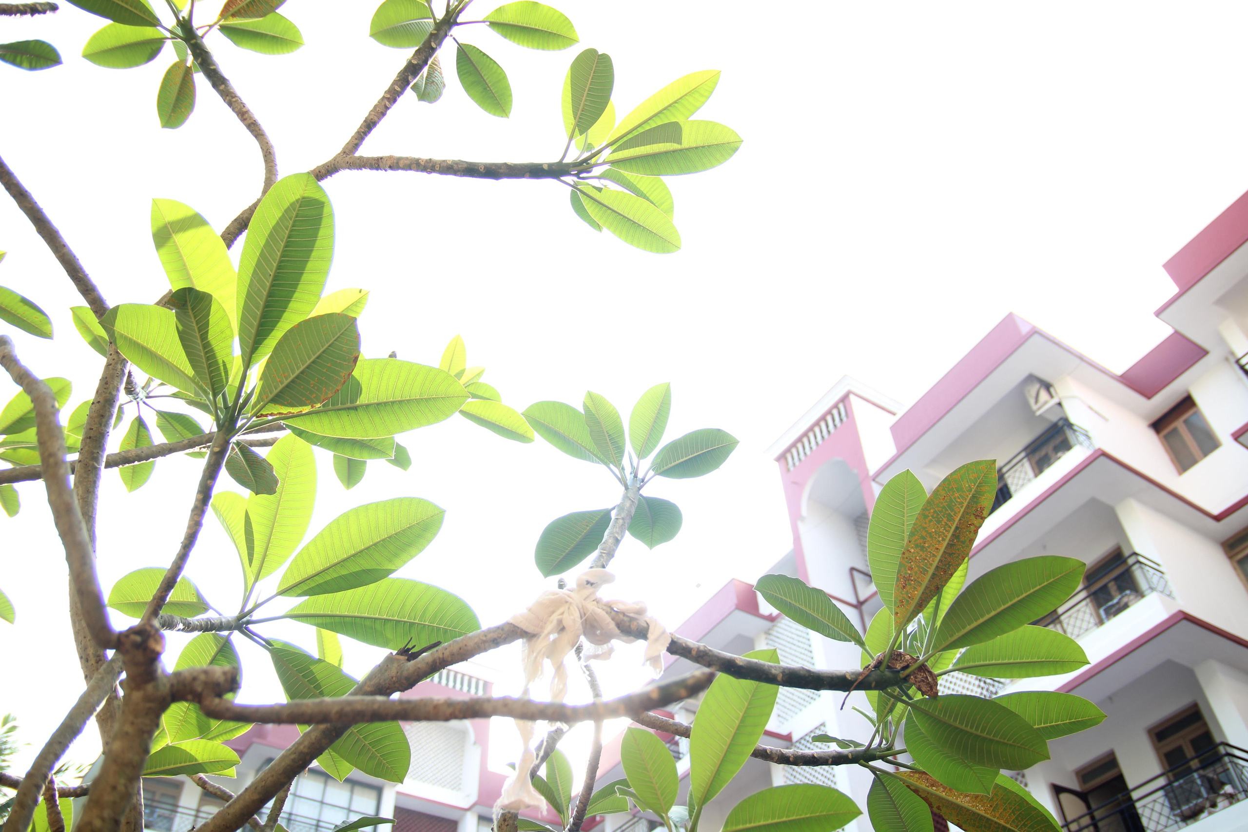 Индия. Фотограф Дарья Локотко в Красноярске