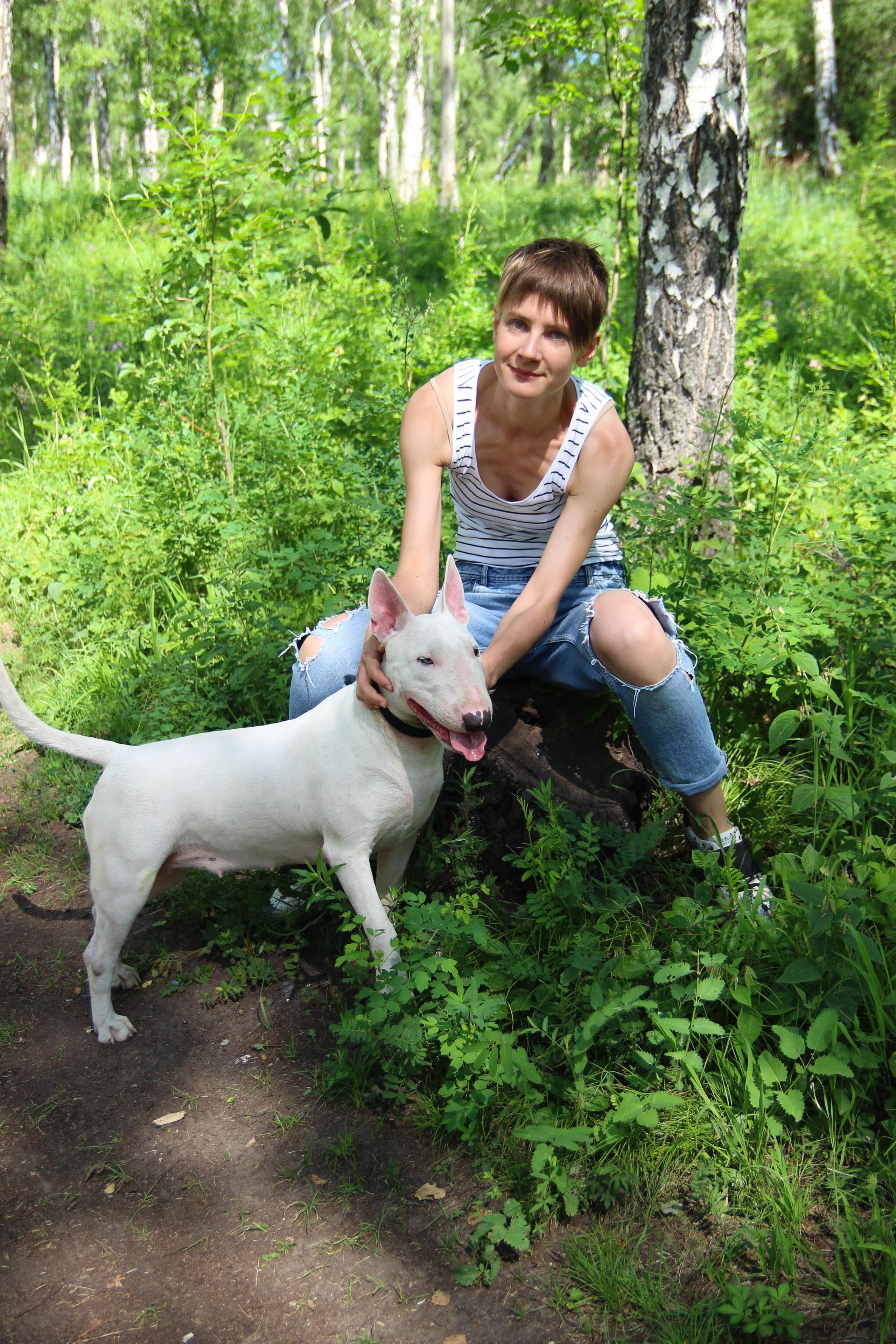 бультерьер собака и девушка на зеленой траве