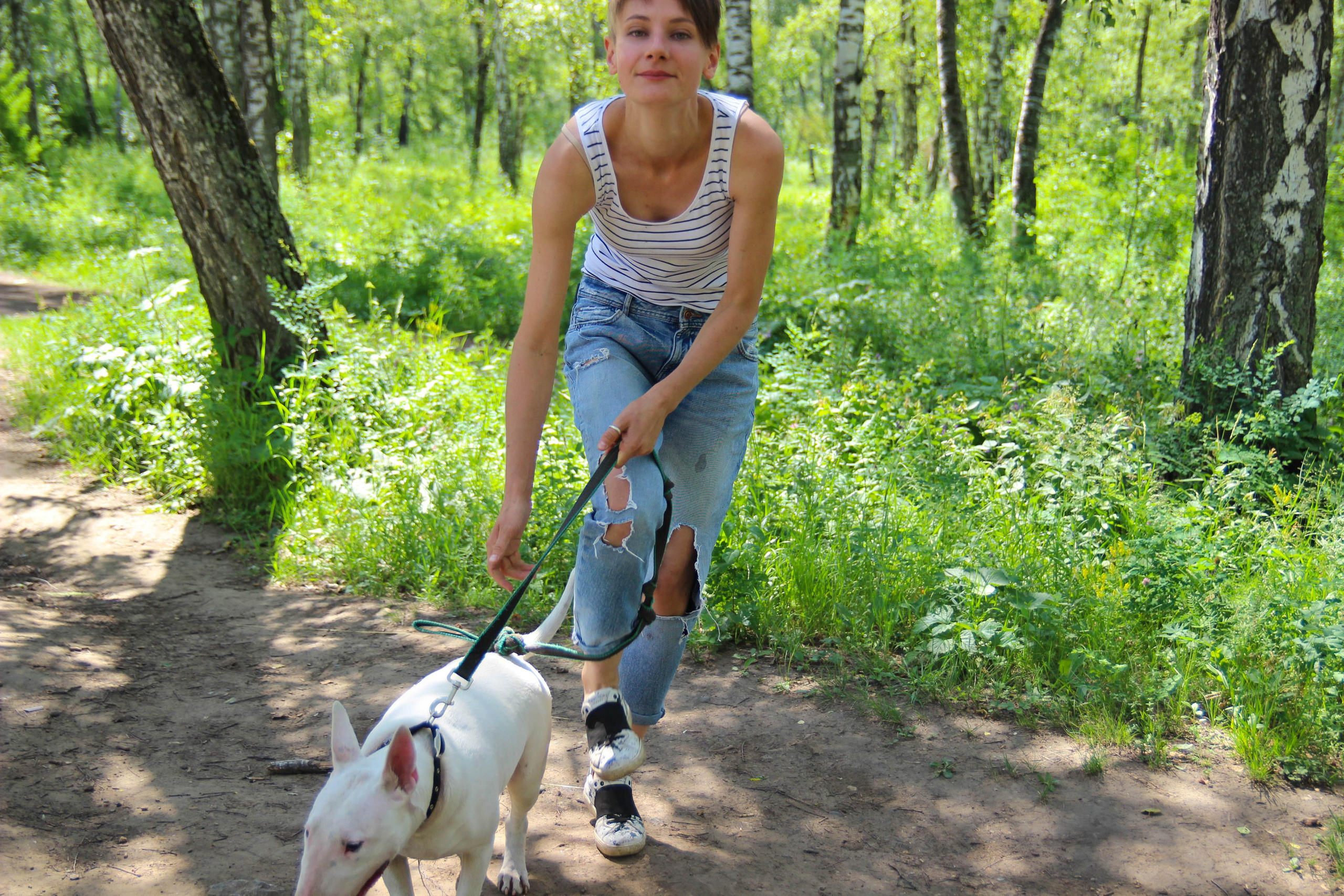 бультерьер собака и девушка на зеленой траве