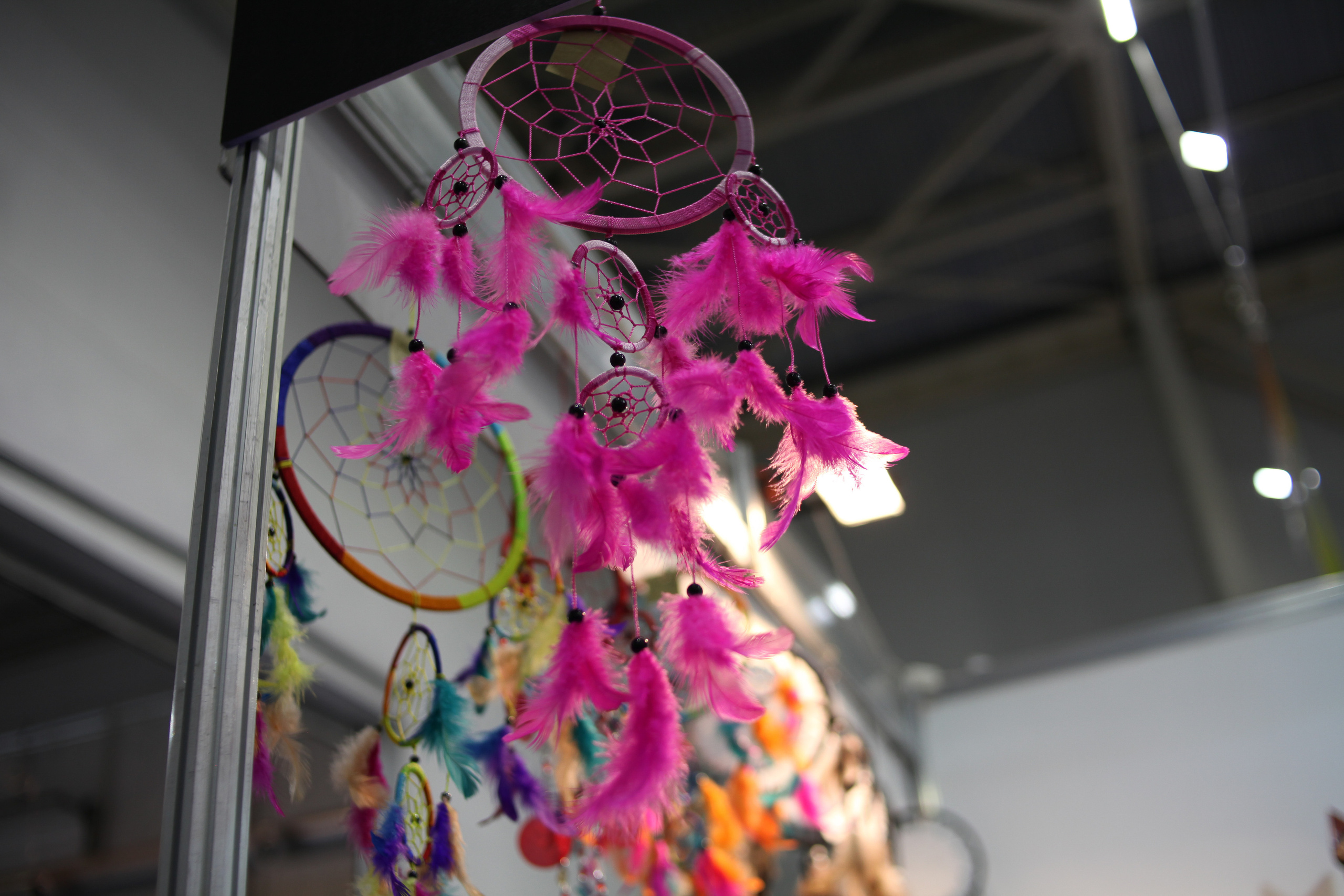 КРЯКК 2018. Фотограф Дарья Локотко в Красноярске