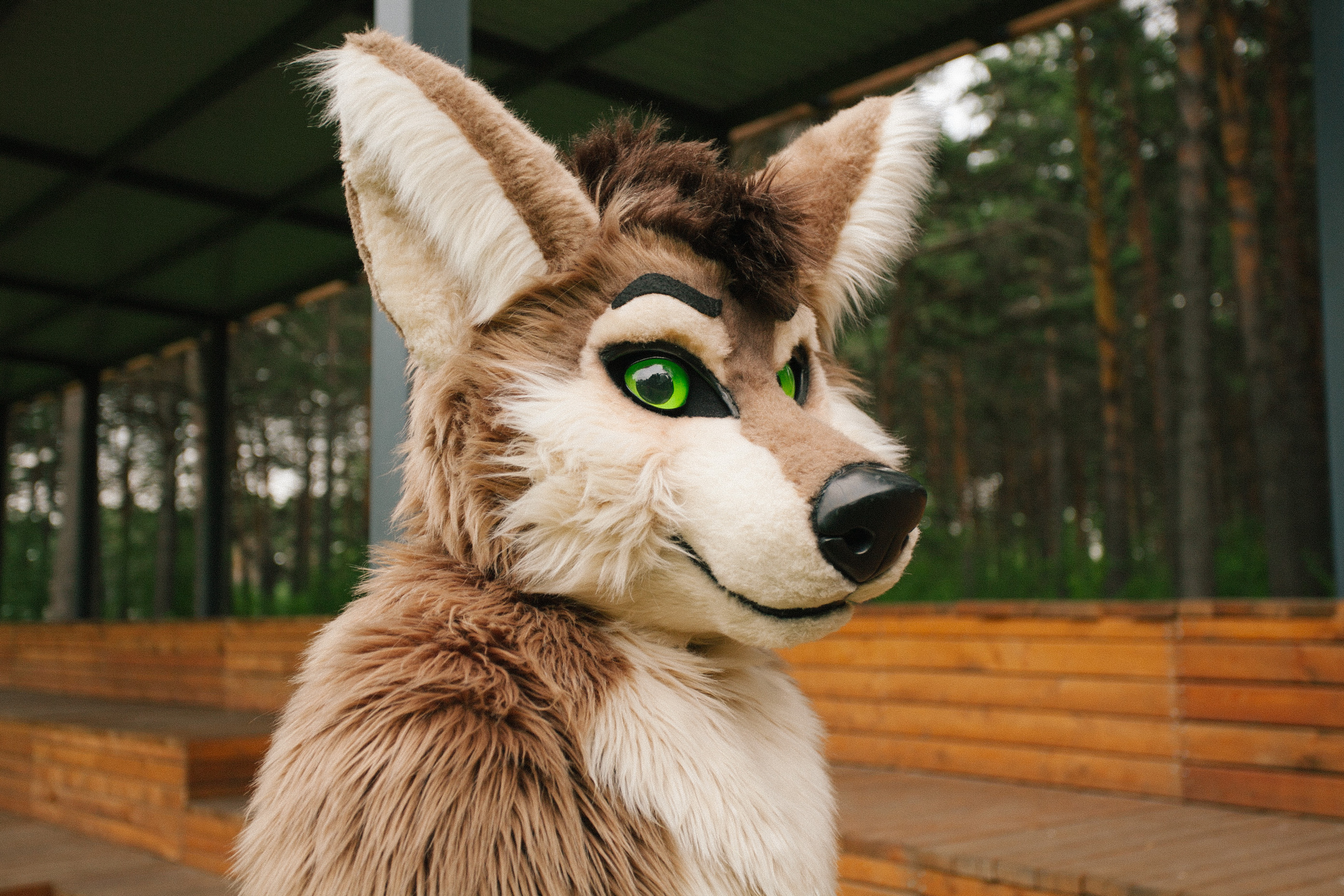 волк, фури, природа, лето, роща, ступени