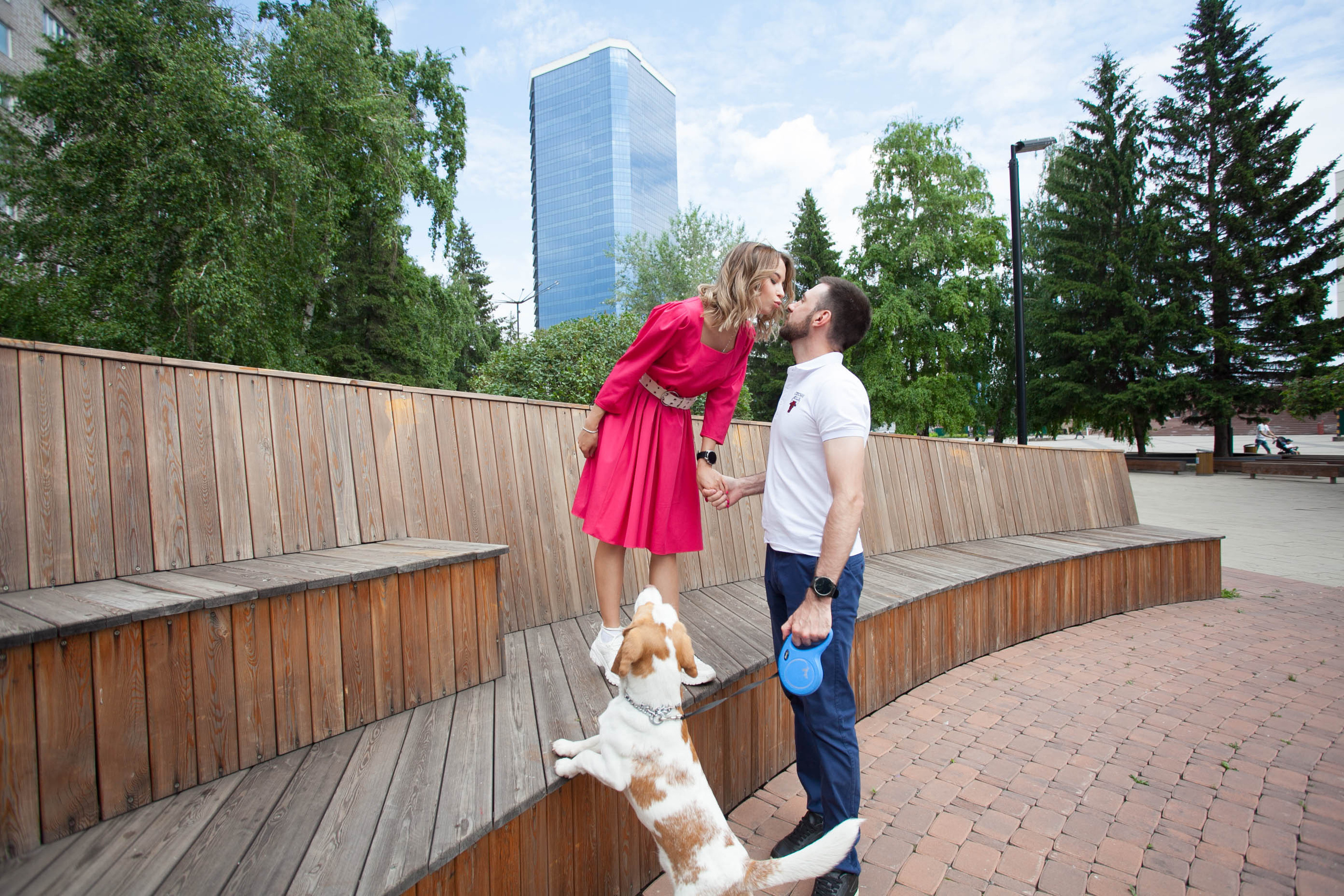 бигль красивая пара фотосессия лето
