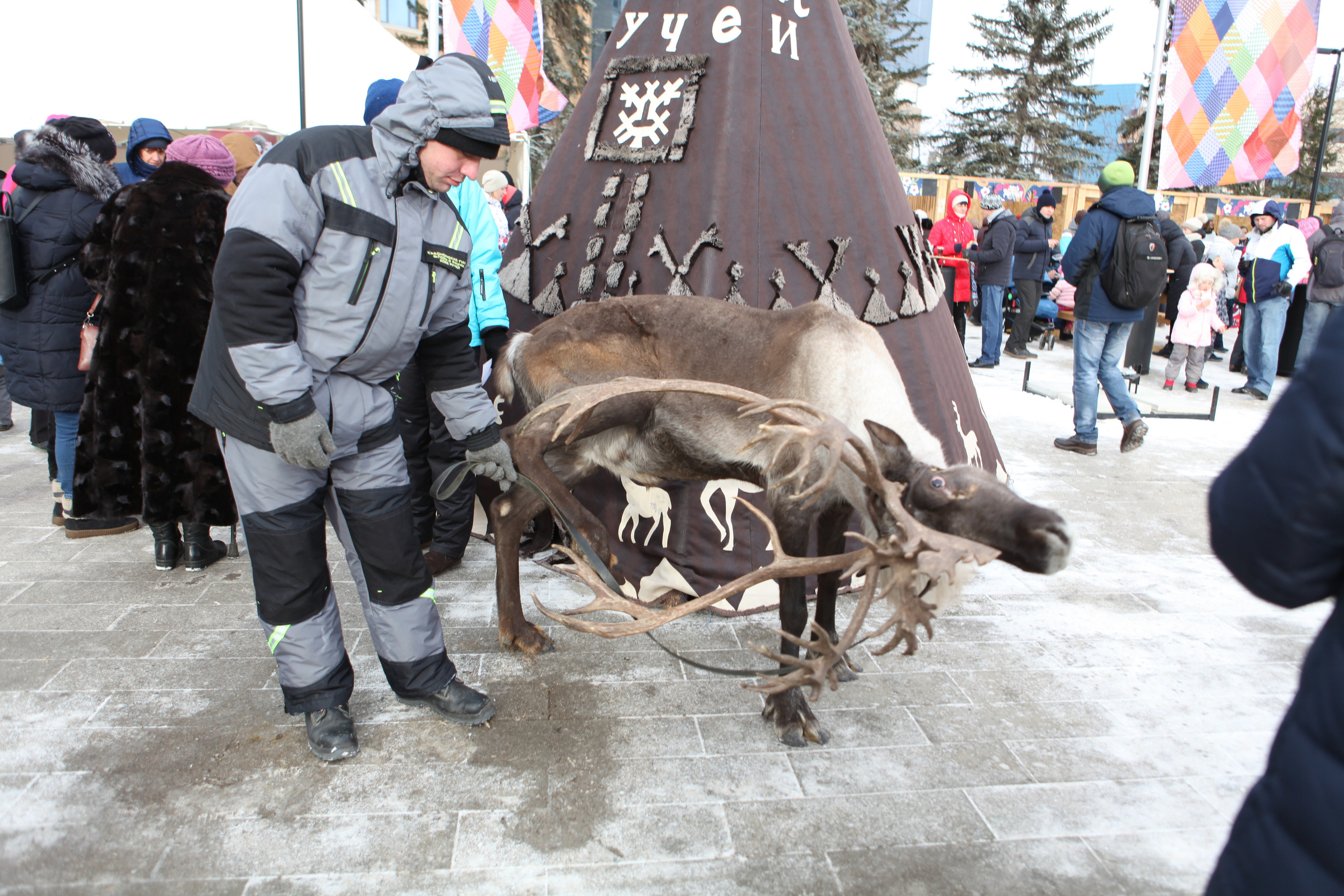 День народного единства. Фотограф Дарья Локотко в Красноярске