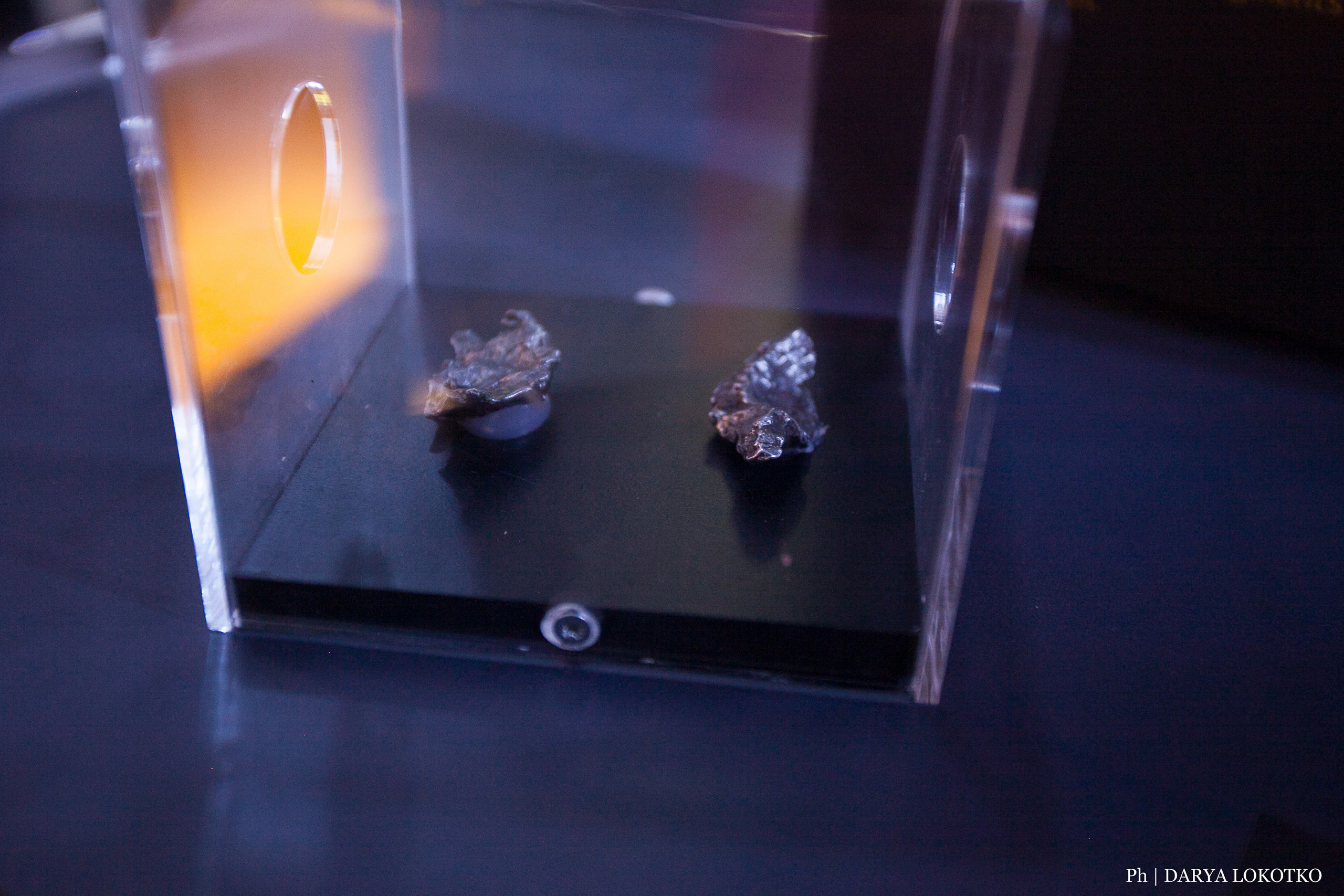 Мир Сибири в Красноярске. Фотограф Дарья Локотко в Красноярске