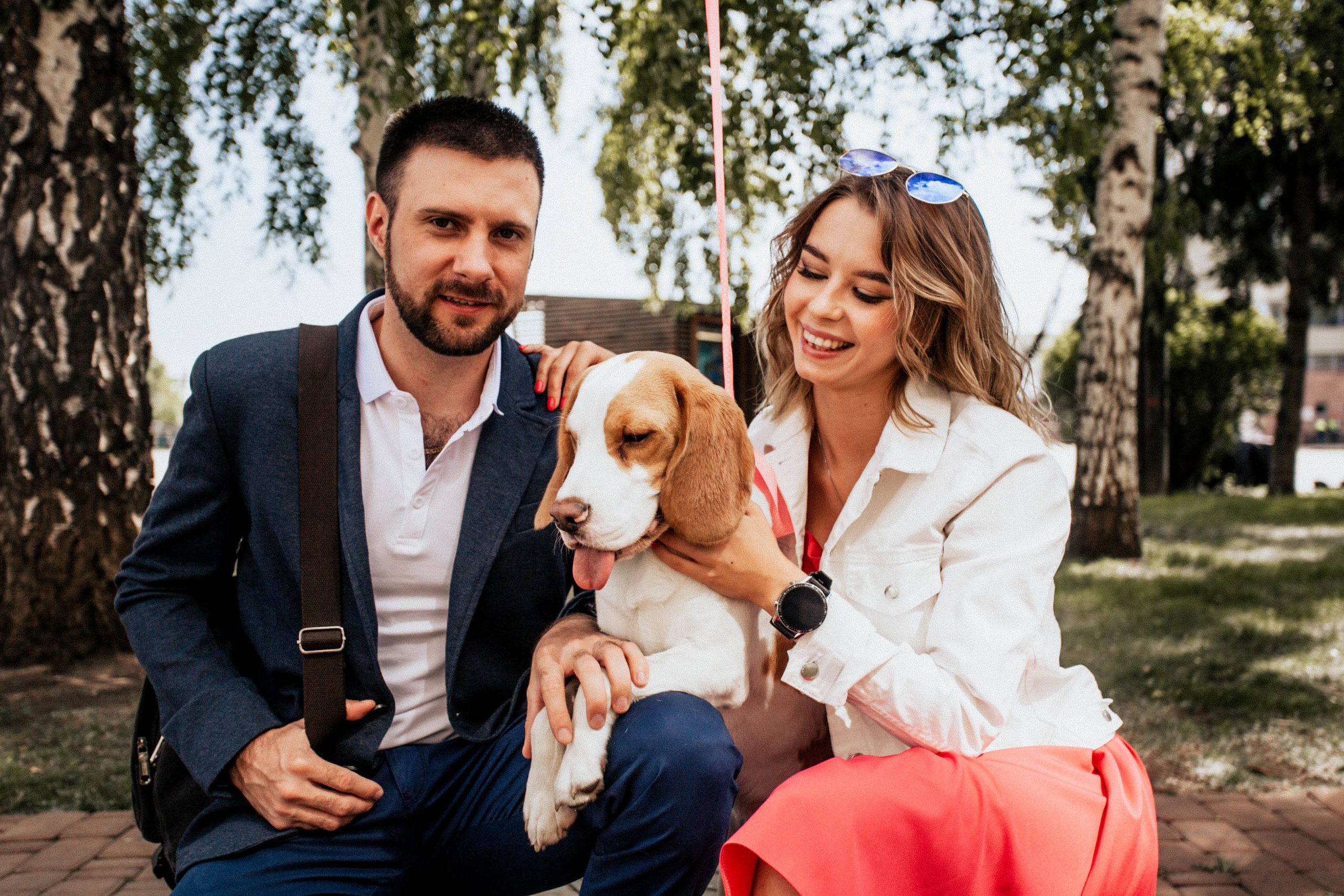 бигль красивая пара фотосессия