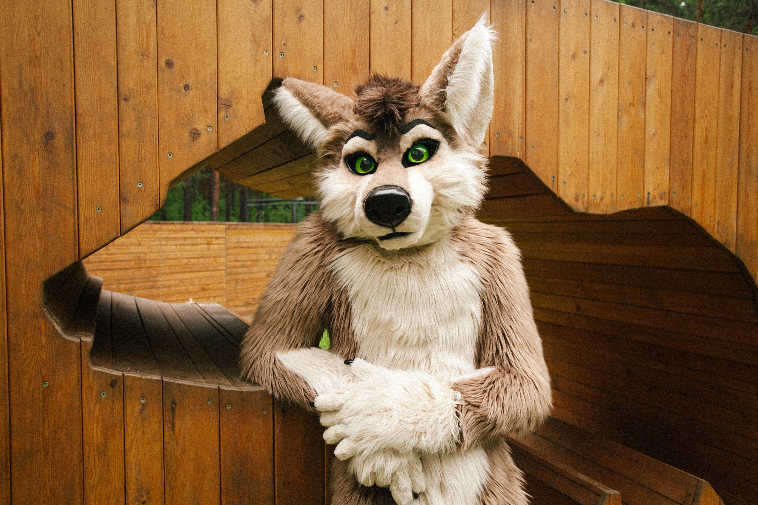 волк, фури, природа, лето, роща, 