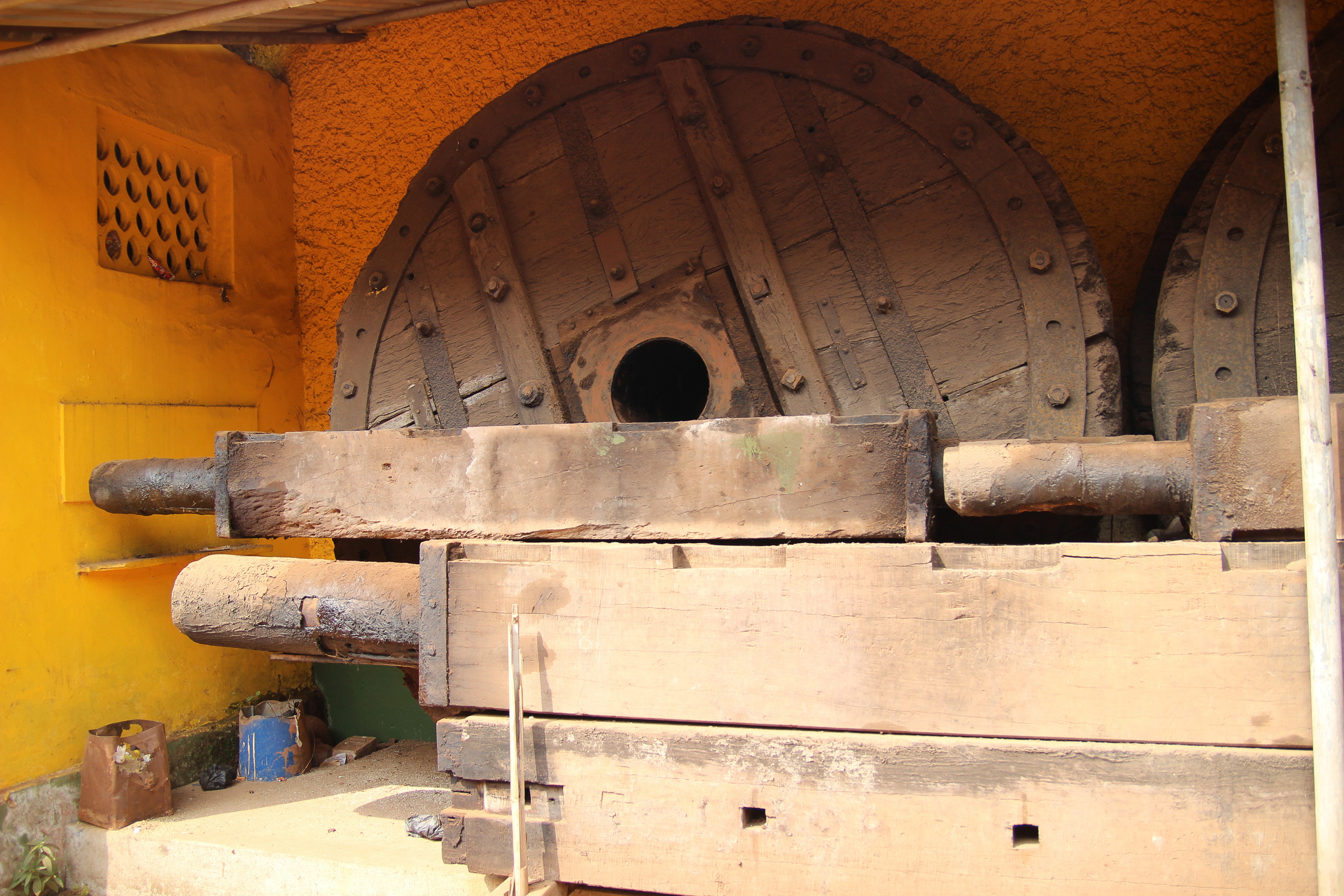 Индия. Фотограф Дарья Локотко в Красноярске