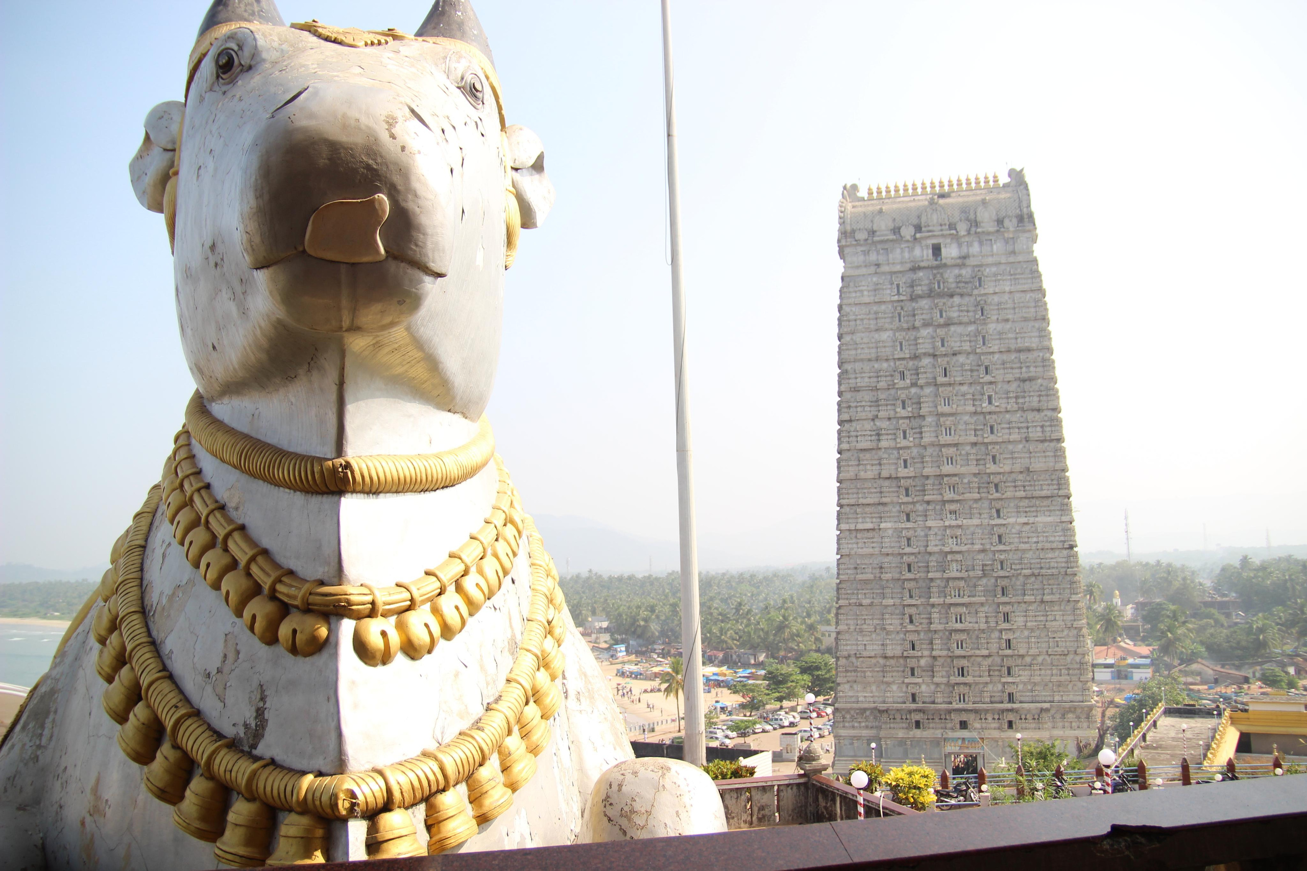 Индия. Фотограф Дарья Локотко в Красноярске