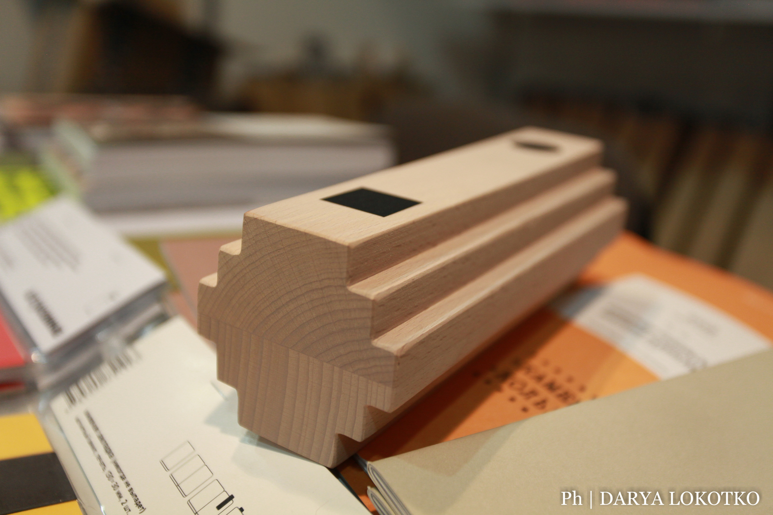 Красноярска ярмарка книжной культуры. Фотограф Дарья Локотко в Красноярске