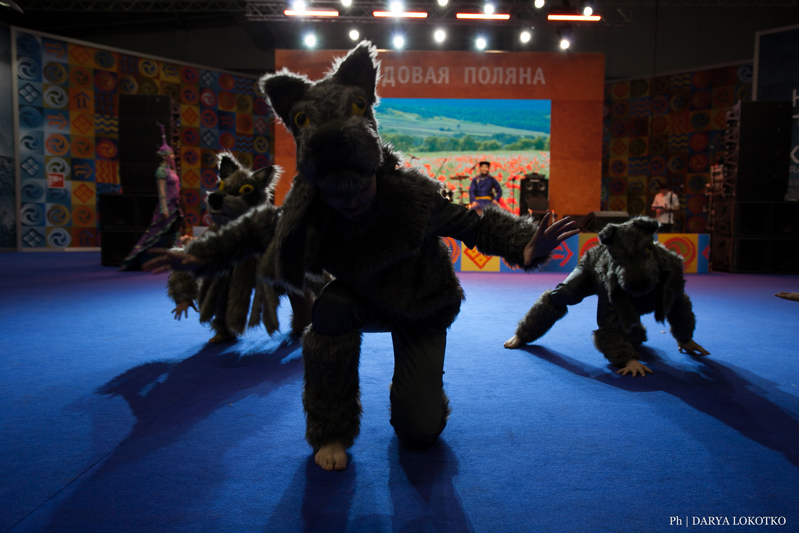 Мир Сибири в Красноярске. Фотограф Дарья Локотко в Красноярске