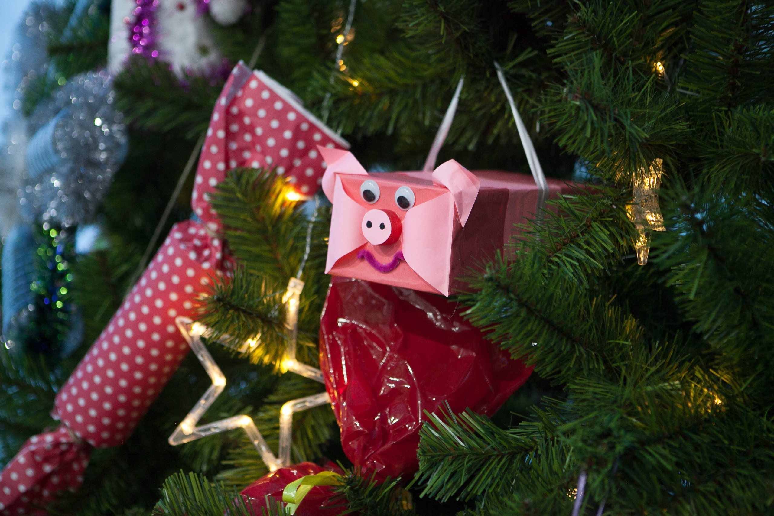 Выступление на полотнах. Фотограф Дарья Локотко в Красноярске