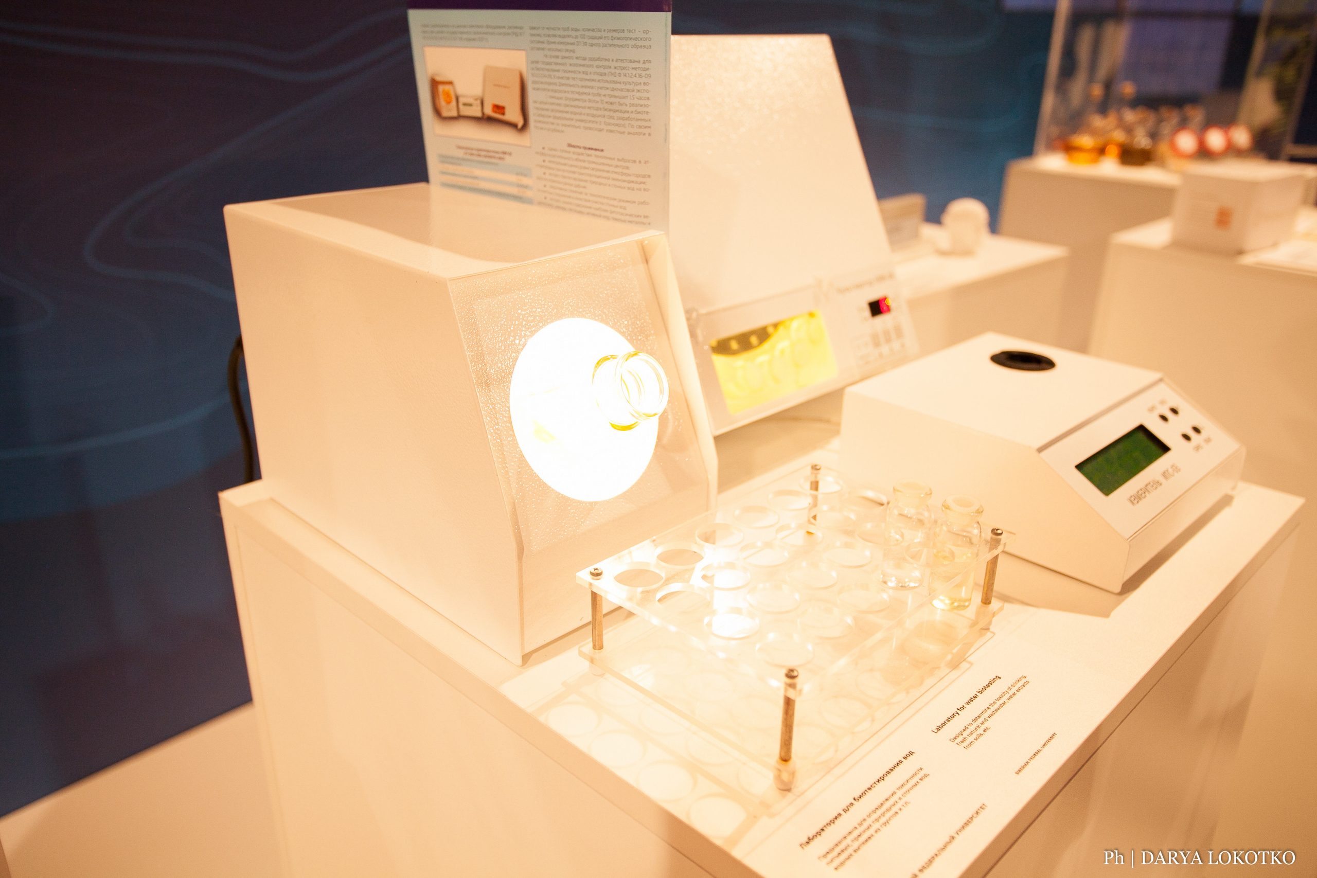 Мир Сибири в Красноярске. Фотограф Дарья Локотко в Красноярске