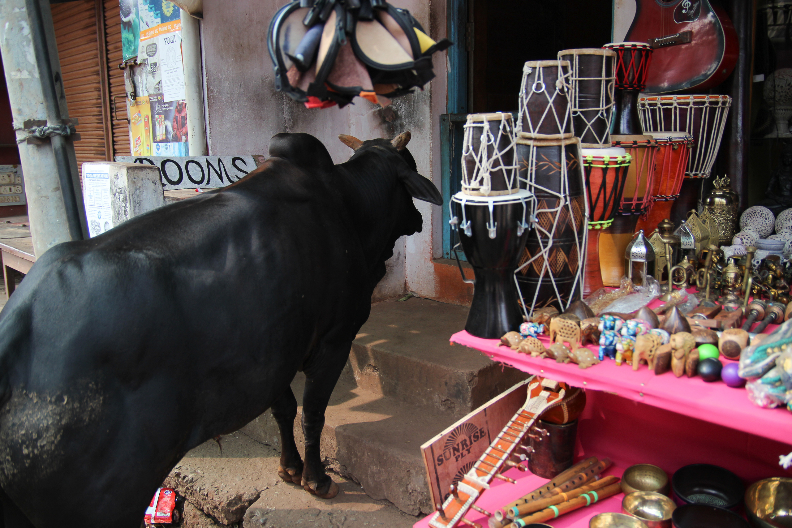 Индия. Фотограф Дарья Локотко в Красноярске