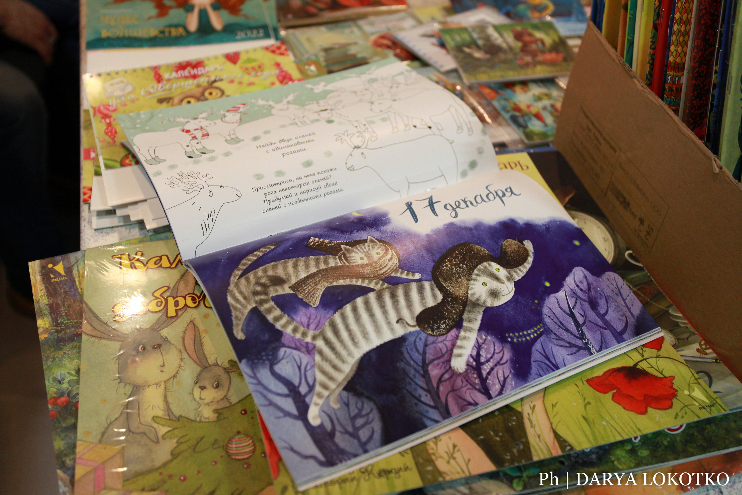 Красноярска ярмарка книжной культуры. Фотограф Дарья Локотко в Красноярске