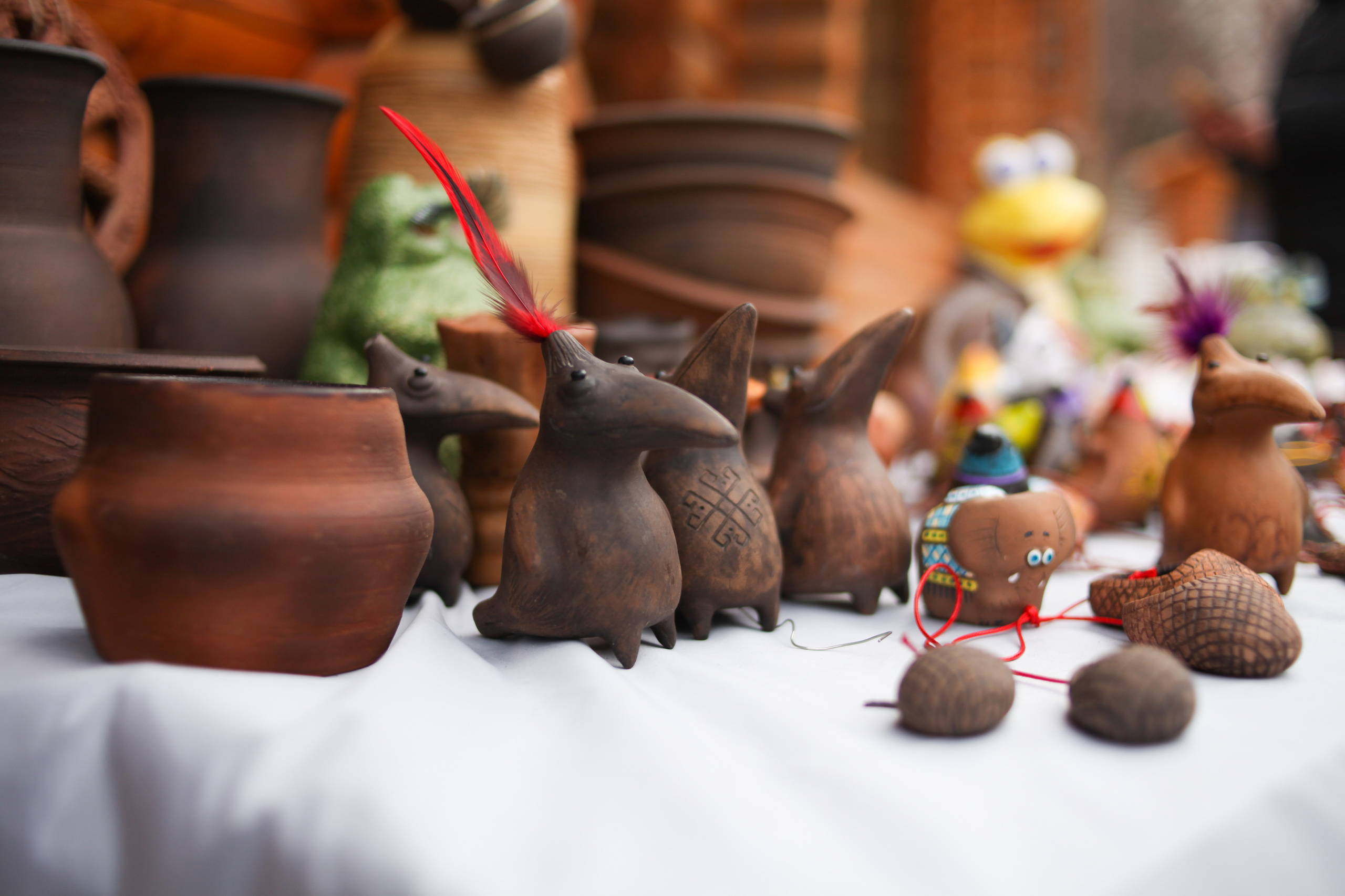 День народного единства. Фотограф Дарья Локотко в Красноярске