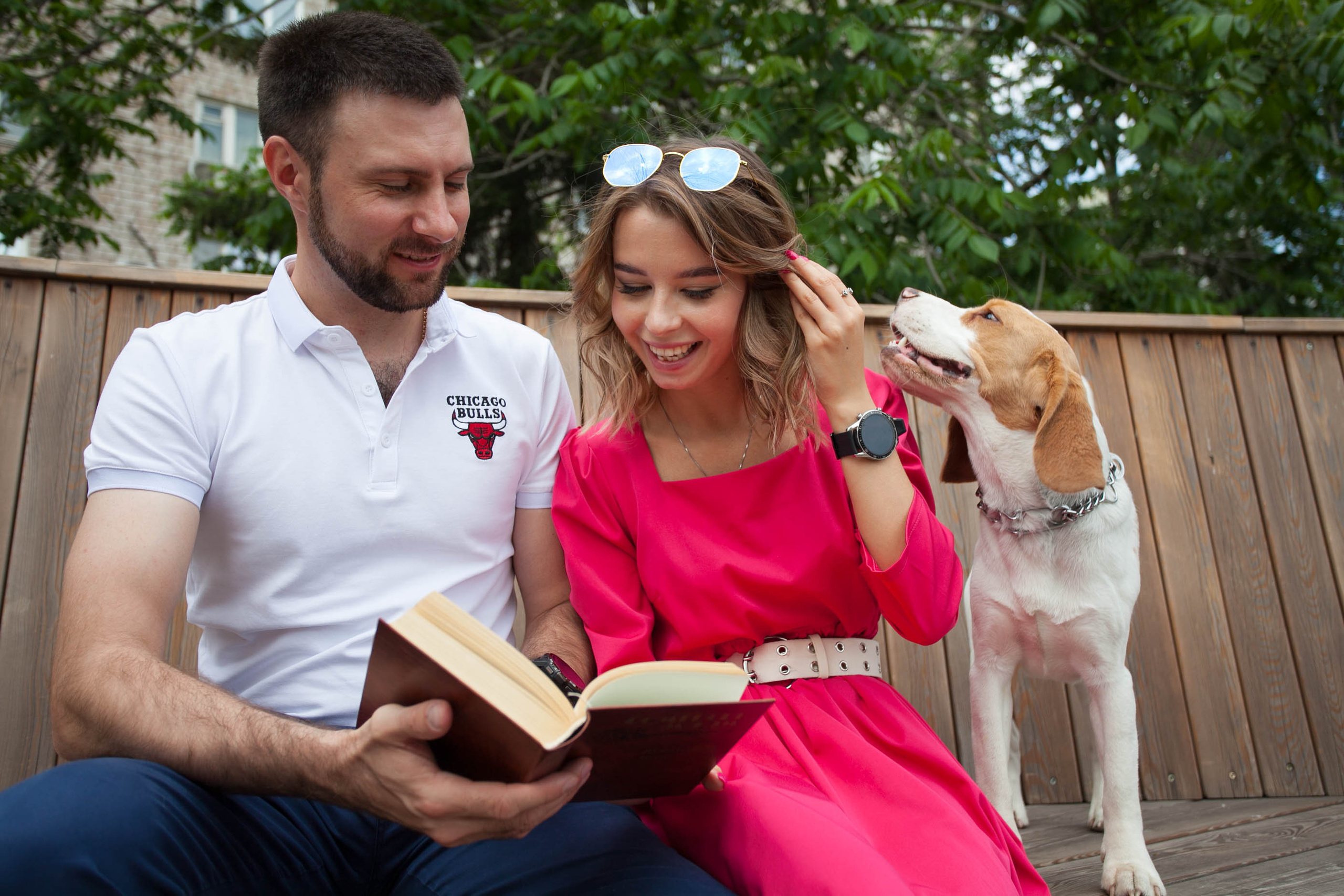 бигль красивая пара фотосессия лето